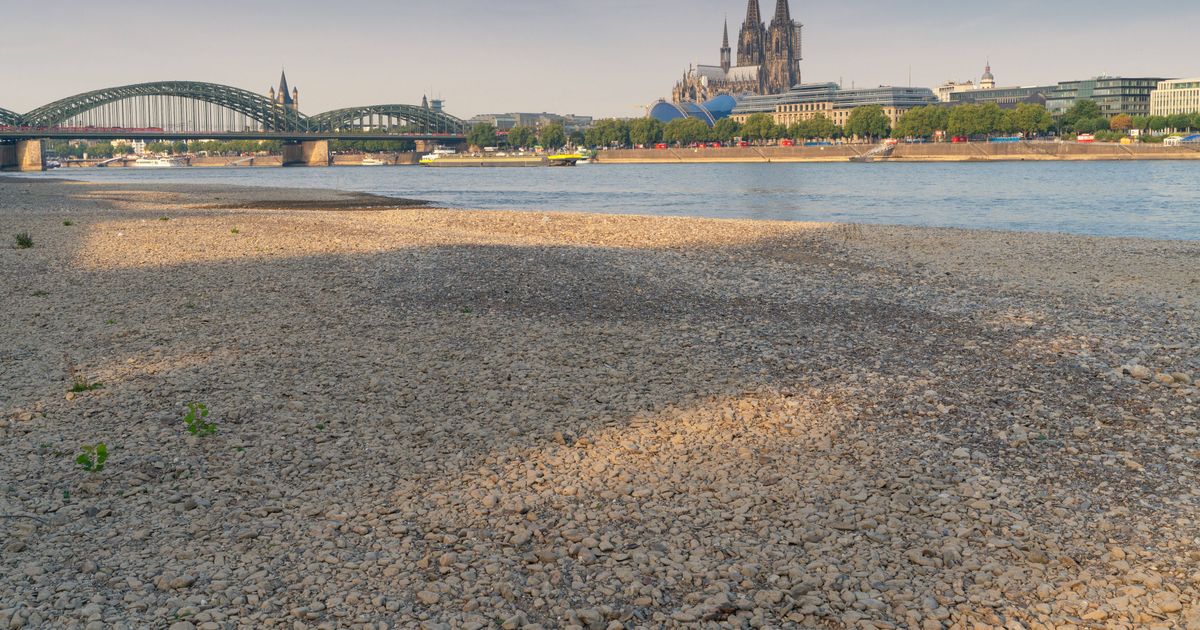 Wassermangel im Rheinland: Kommunen stellen strenge Regeln auf – diese Strafen drohen