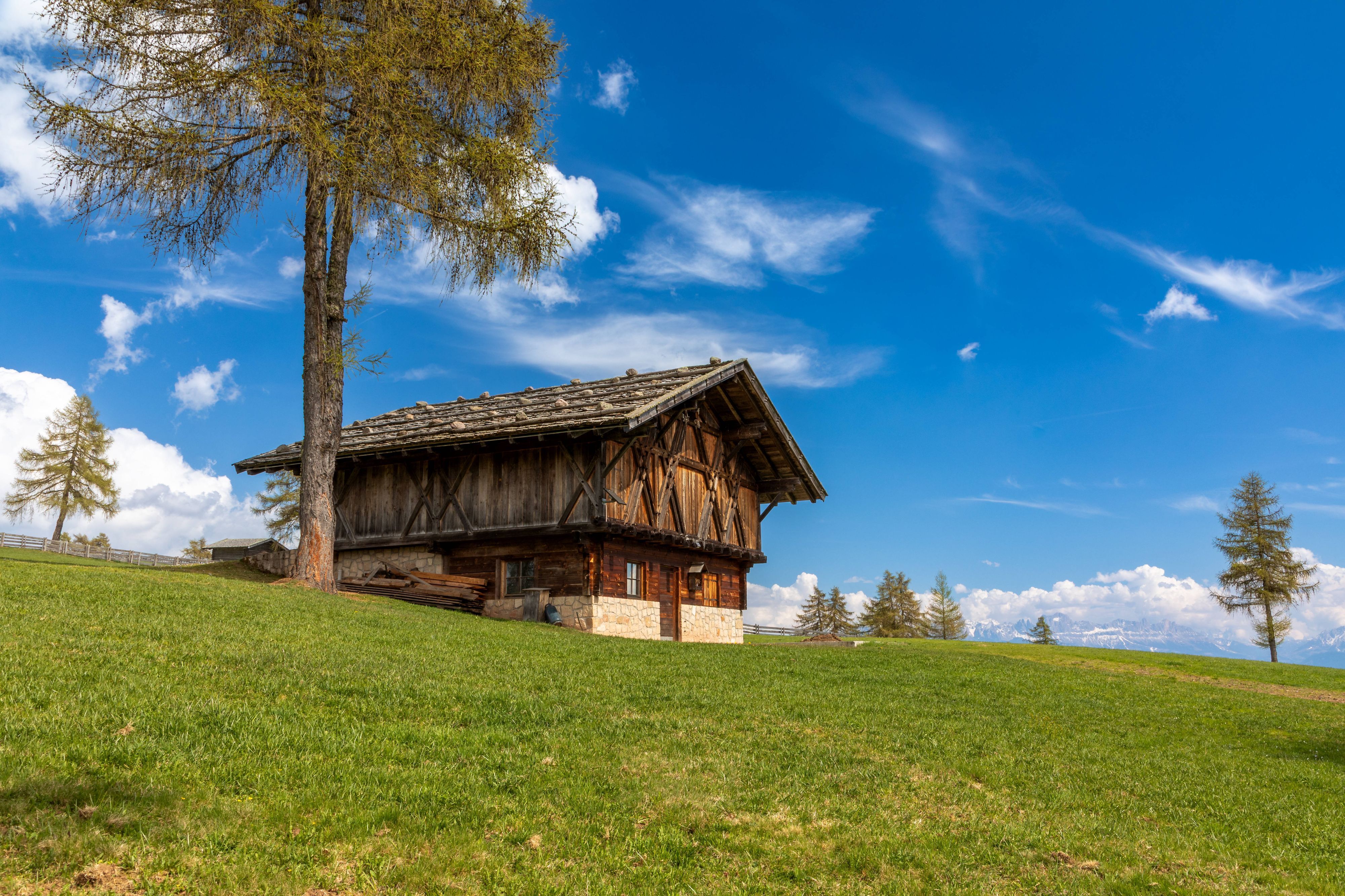 Eine Hütte mit Bäumen in Südtirol.