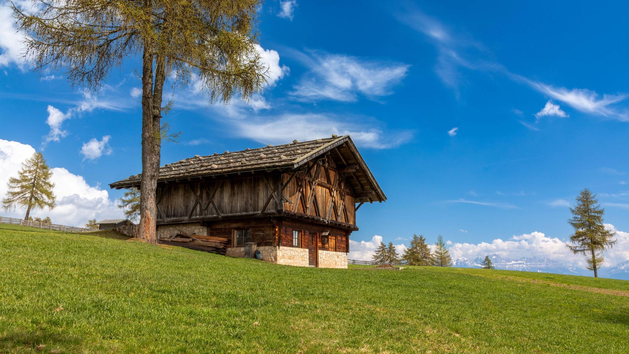Eine Hütte mit Bäumen in Südtirol.