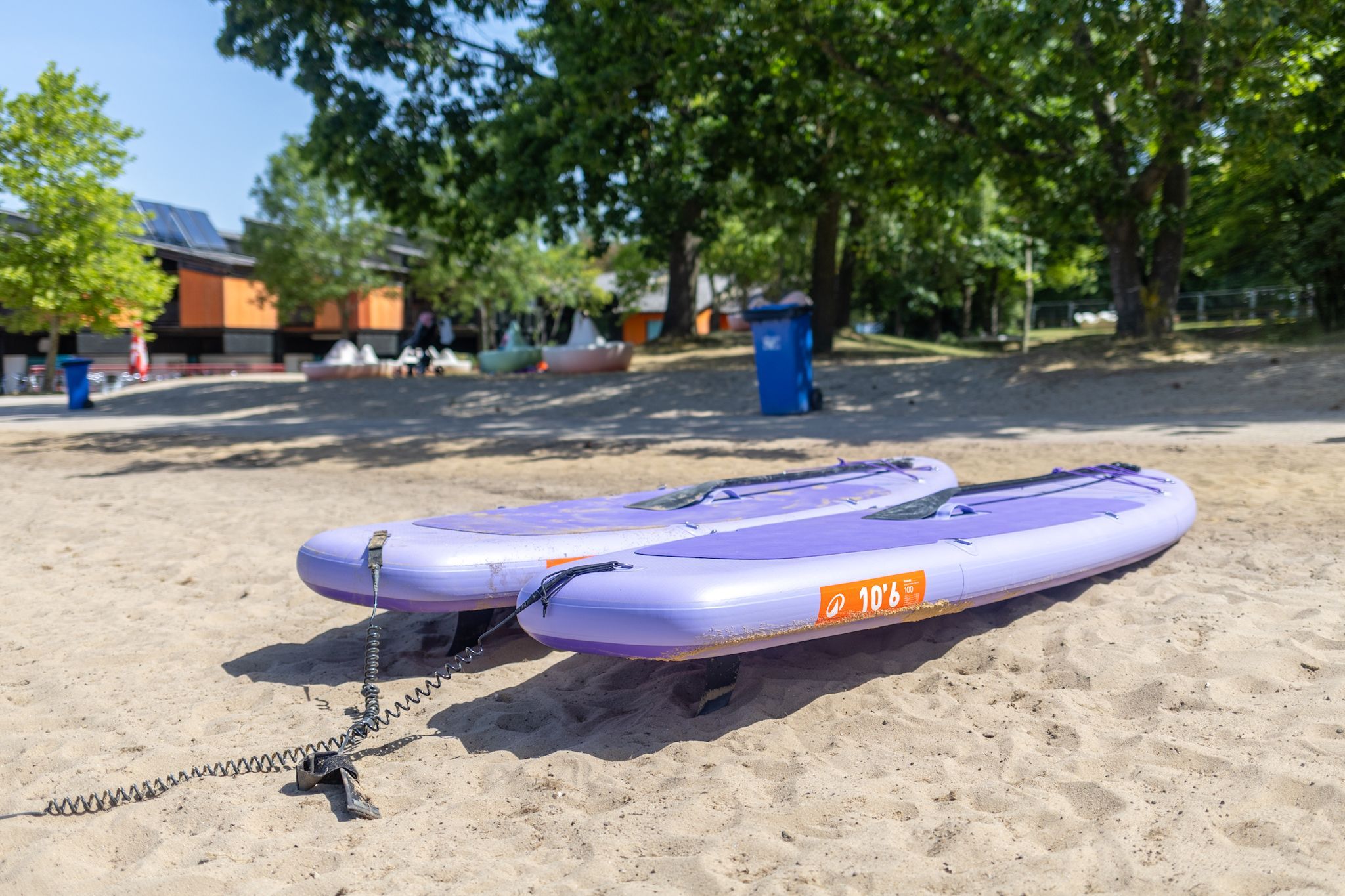 Zwei lila Surfbretter liegen im Sand.