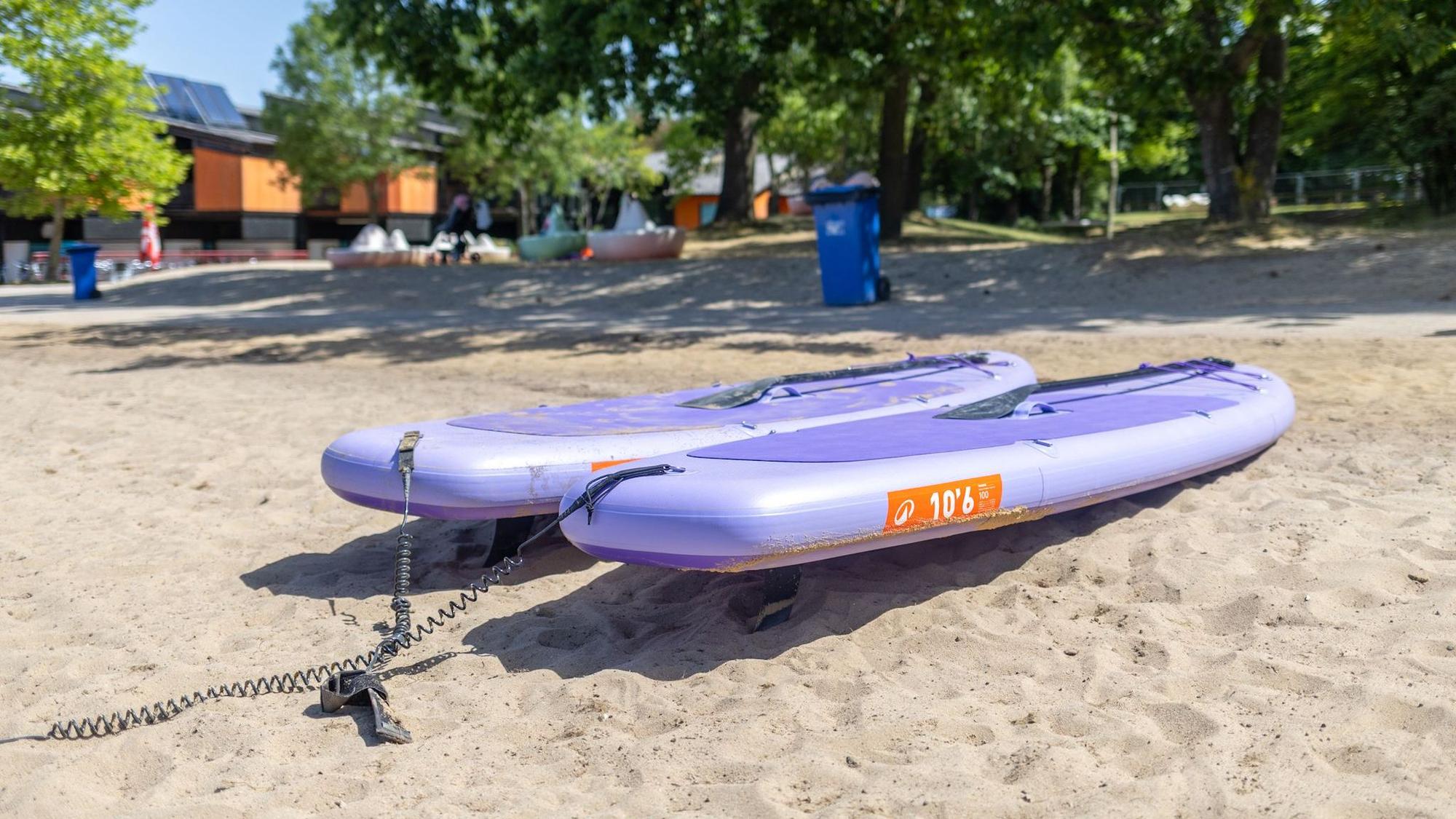 Zwei lila Surfbretter liegen im Sand.