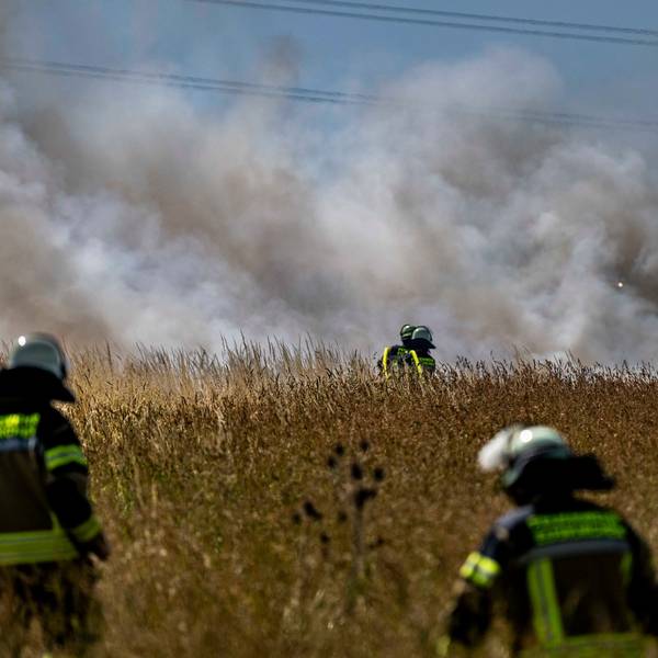 Das Bild zeigt Feuerwehrleute, die die Brand auf dem landwirtschaftlich genutzten Feld löschen.