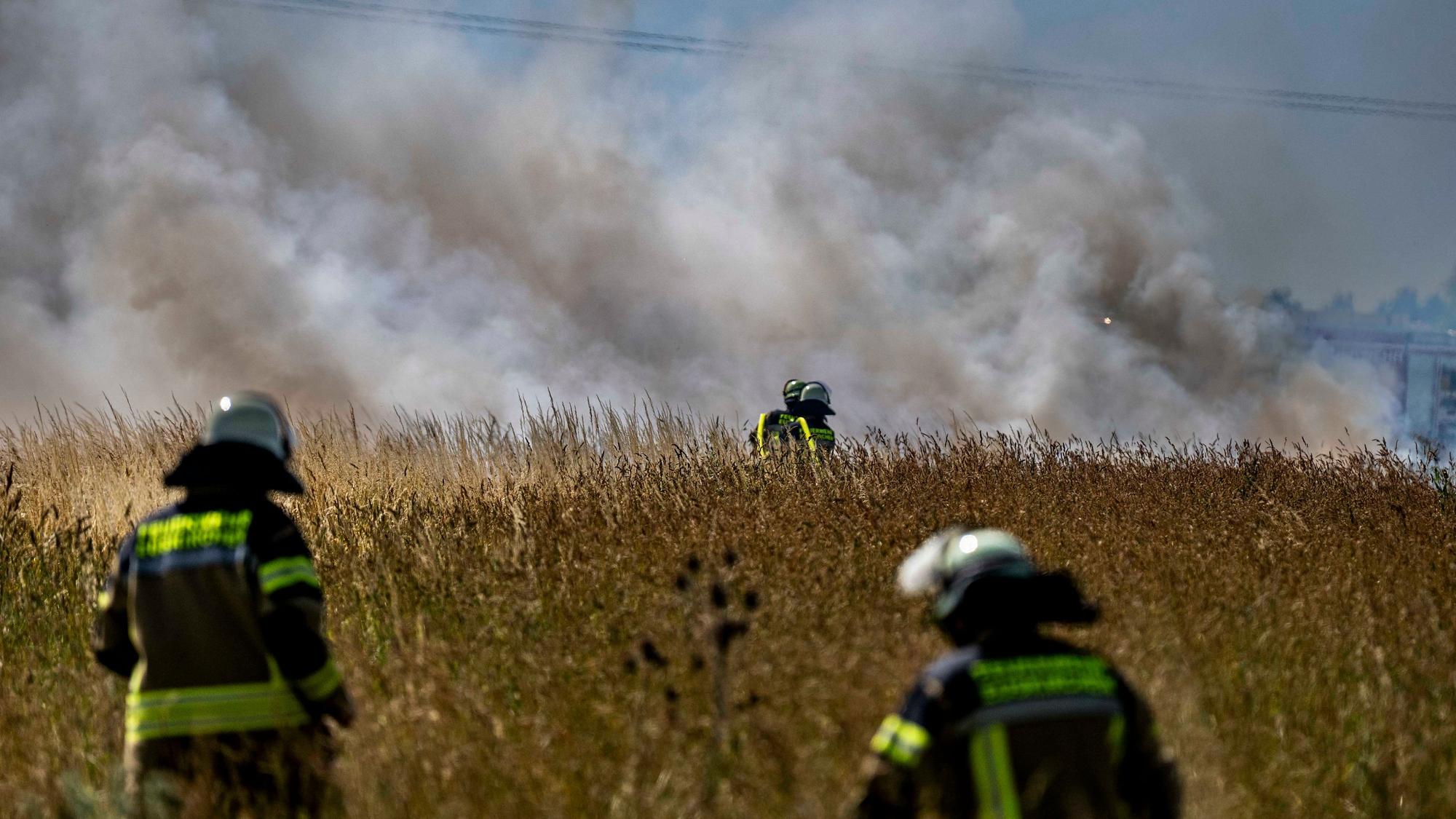 Das Bild zeigt Feuerwehrleute, die die Brand auf dem landwirtschaftlich genutzten Feld löschen.