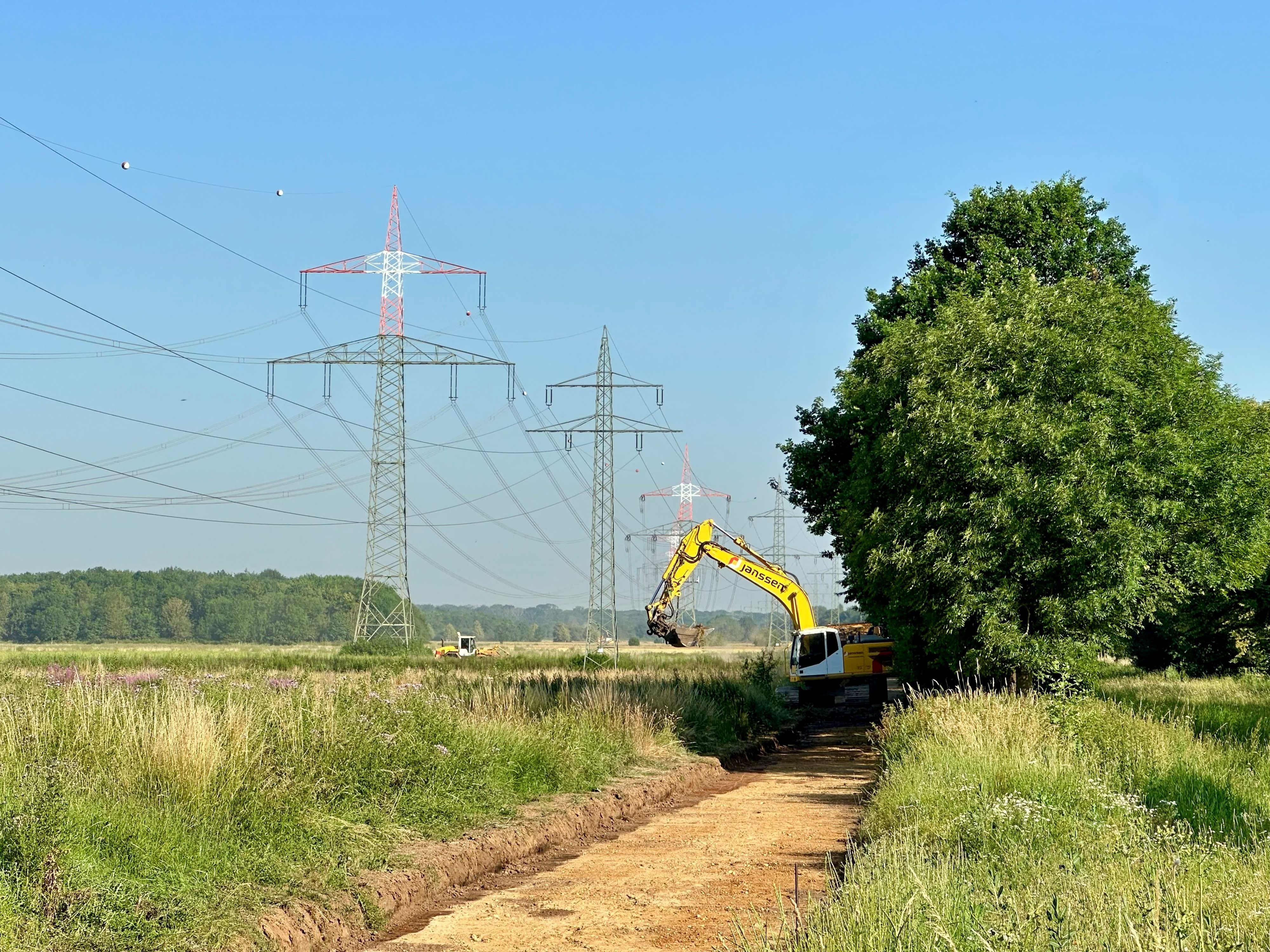 Ein Bagger arbeitet im Grünen.