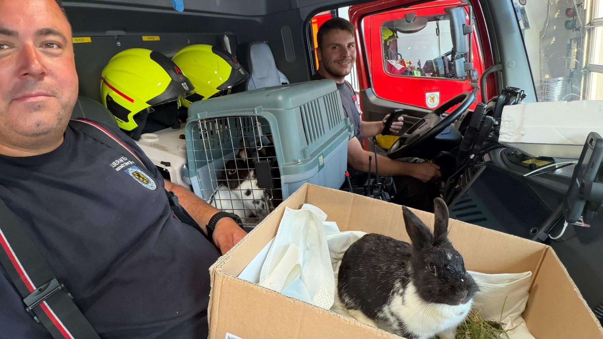 Zu sehen sind zwei Feuerwehrleute mit Kaninchen in einem Feuerwehrfahrzeug.
