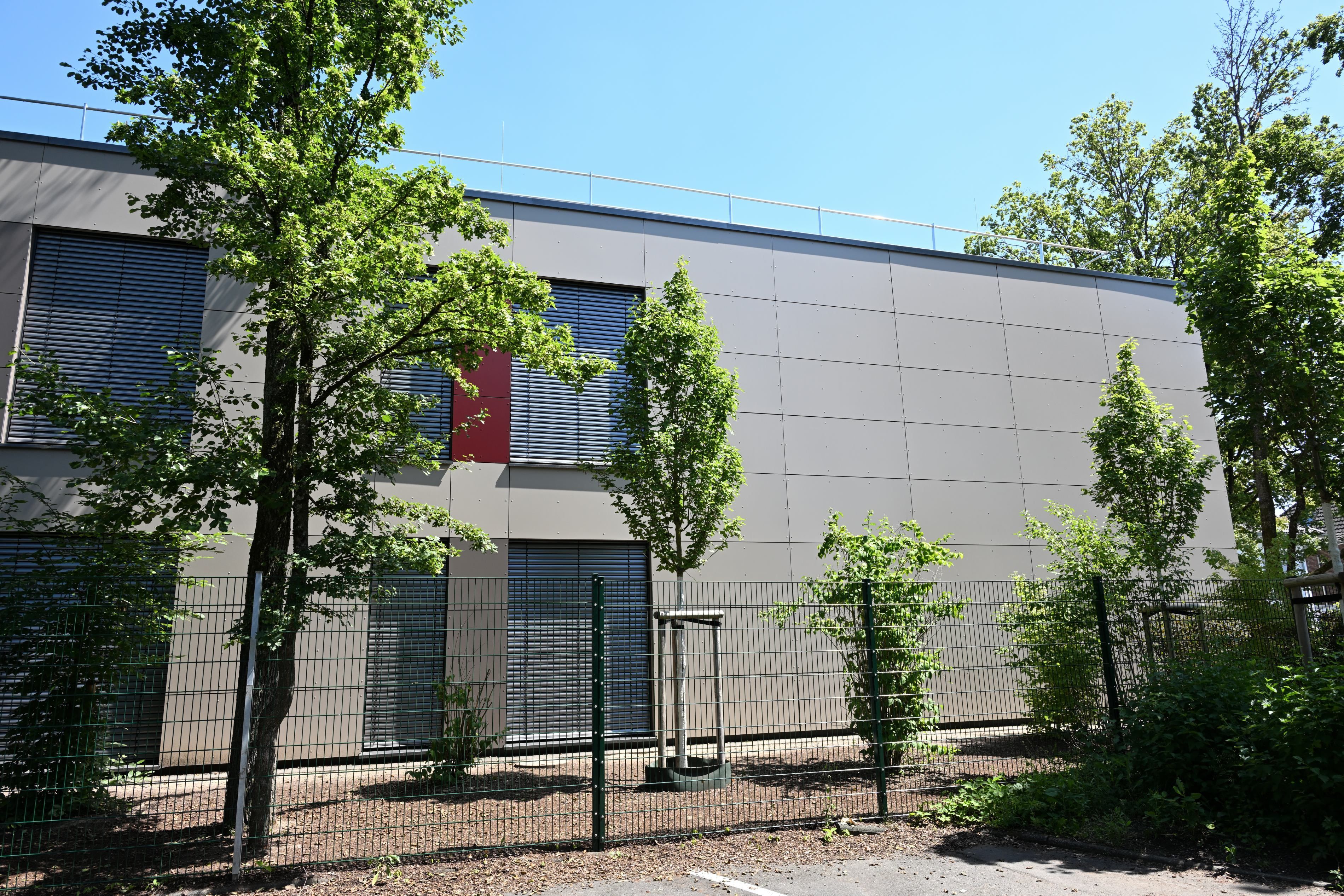 Neugepflanzte Bäume stehen vor dem Schulgebäude.