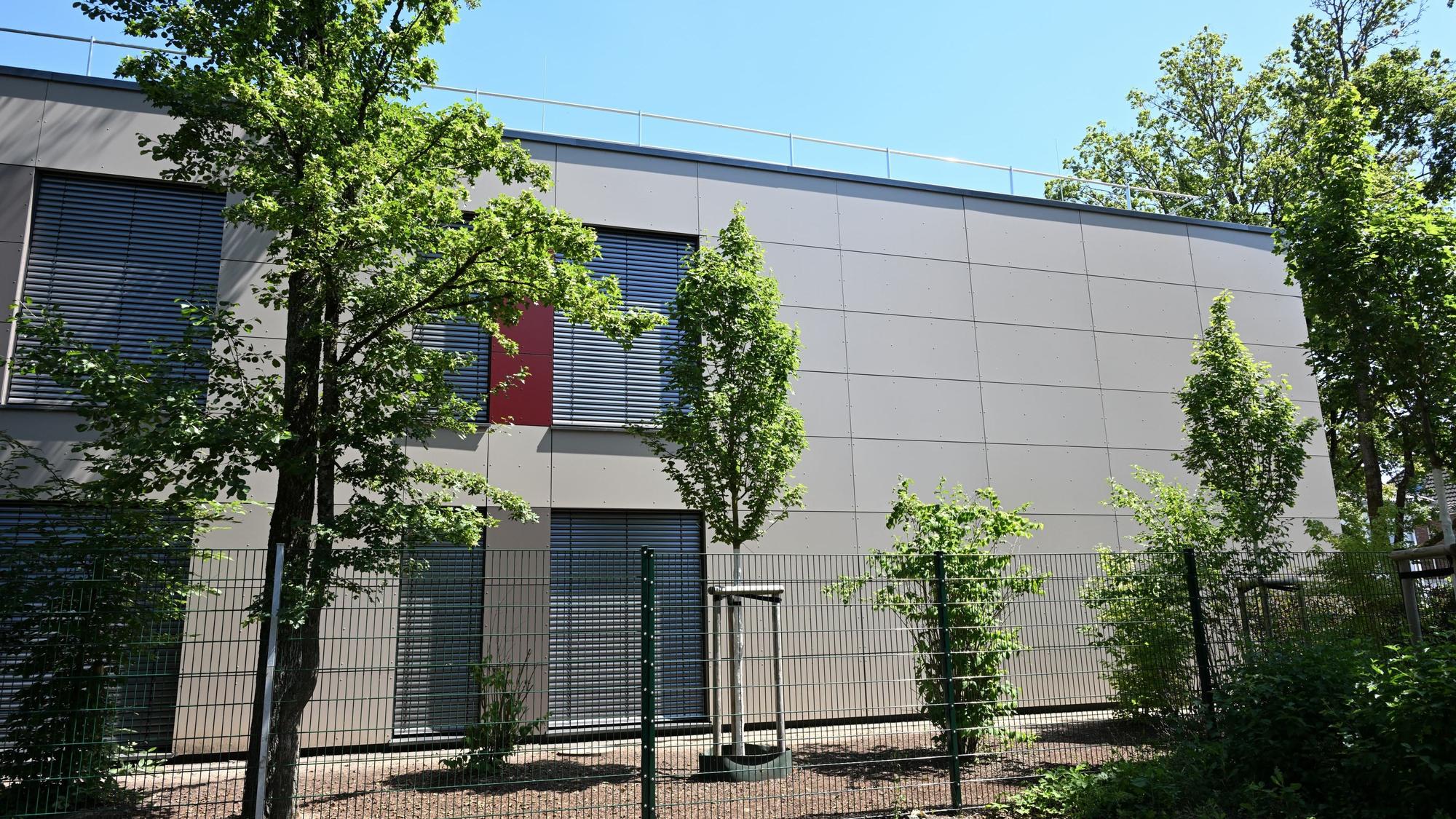 Neugepflanzte Bäume stehen vor dem Schulgebäude.