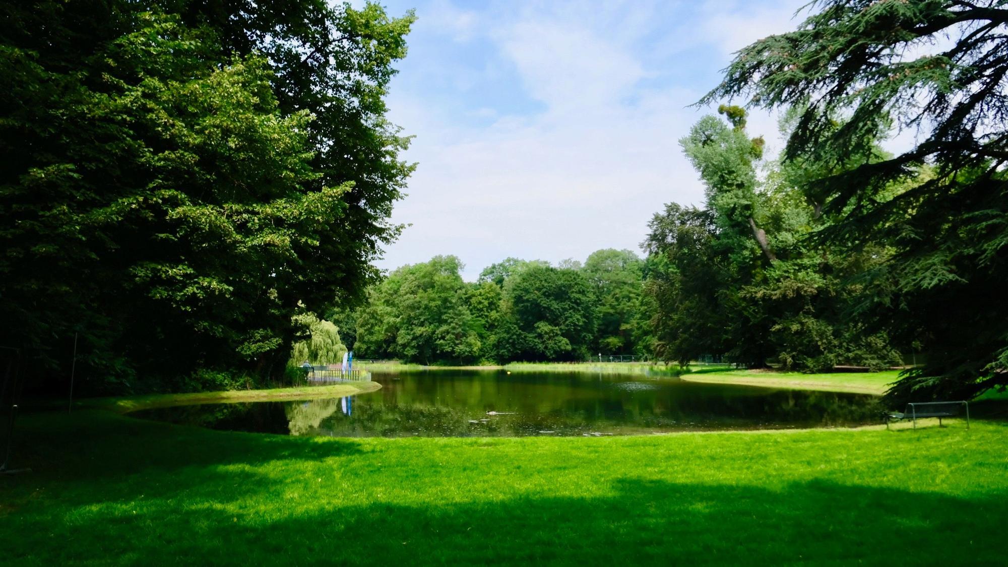 Der Weiher im Klettenbergpark ist wieder ein idyllischer Ort.