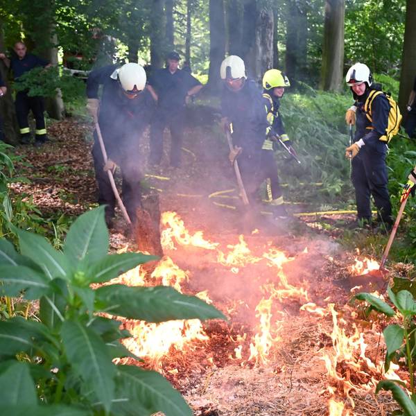 Feuerwehrleute trainieren den Kampf gegen Wald- und Flächenbrände, hier am Wochenende in Leichlingen.
