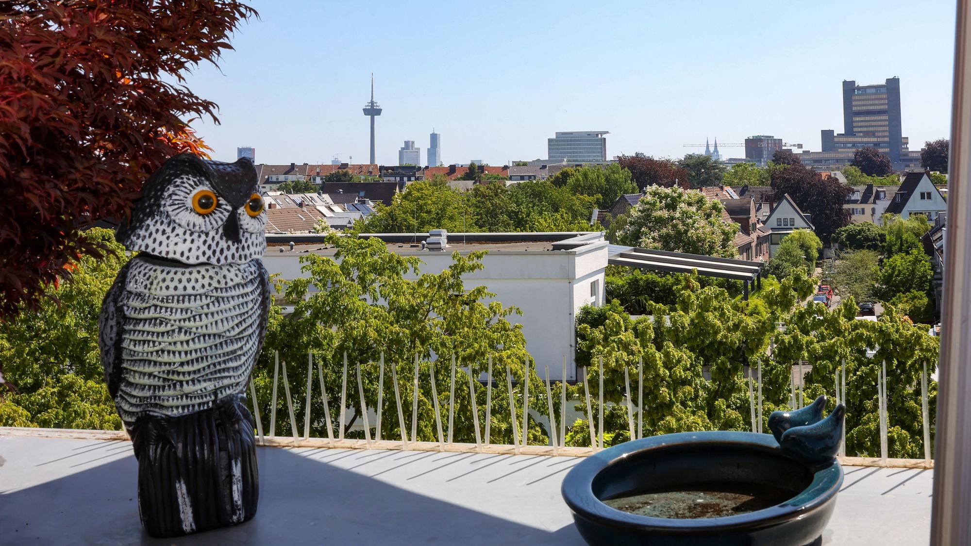 Blick auf die Skyline von Köln.