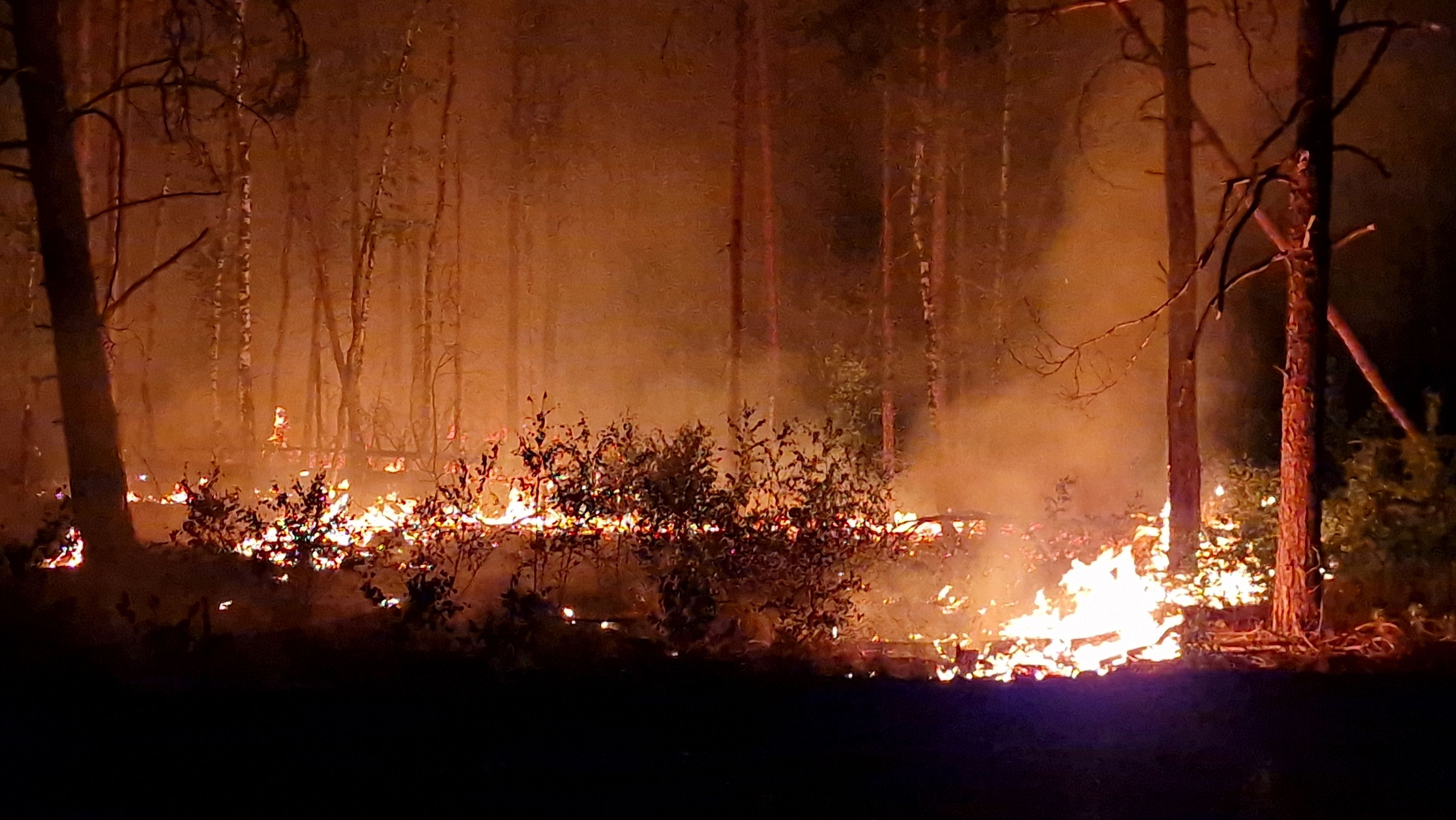 Flammen schlagen in die Höhe und Rauch steigt auf bei Nacht in einem Waldstück nahe Jüterbog.