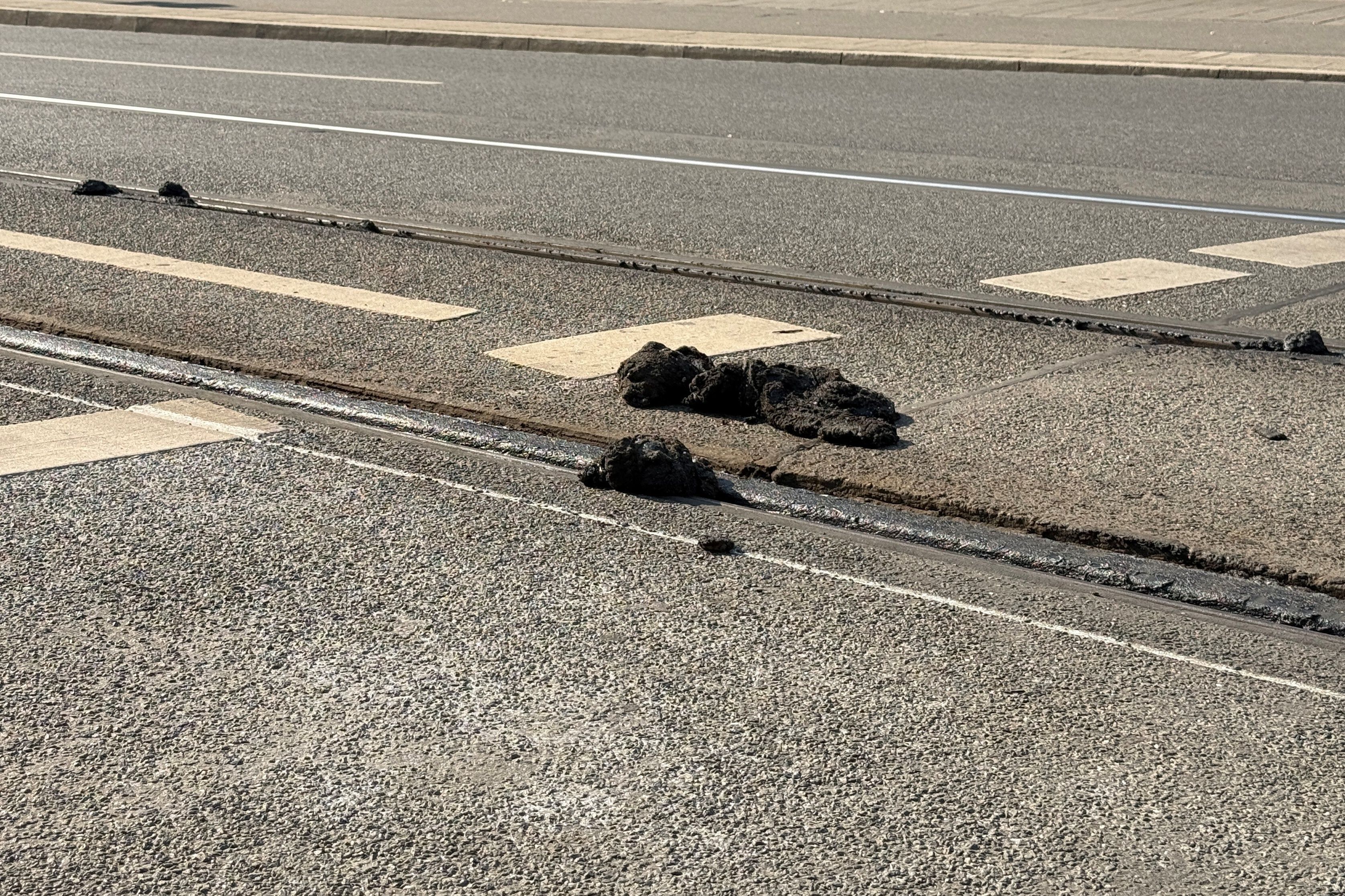 In Nürnberg wurde der Straßenbahnbetrieb eingestellt, weil sich wegen der Hitze der Straßenbelag löst. Es gibt Ersatzverkehr mit Bussen.