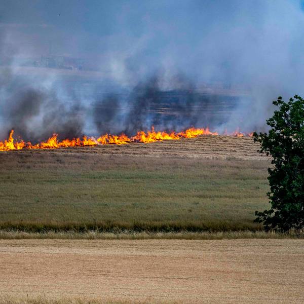Das Bild zeigt die Flammen auf dem Feld bei dem Brand in Virnich.