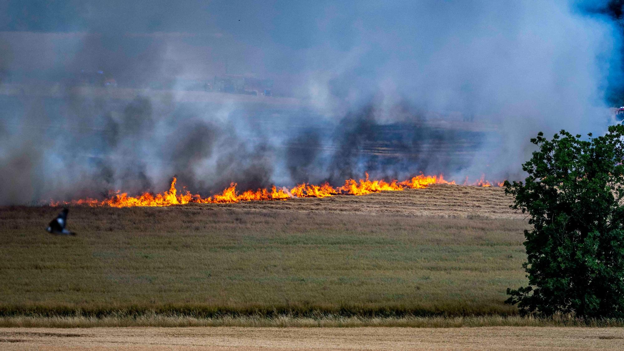 Das Bild zeigt die Flammen auf dem Feld bei dem Brand in Virnich.