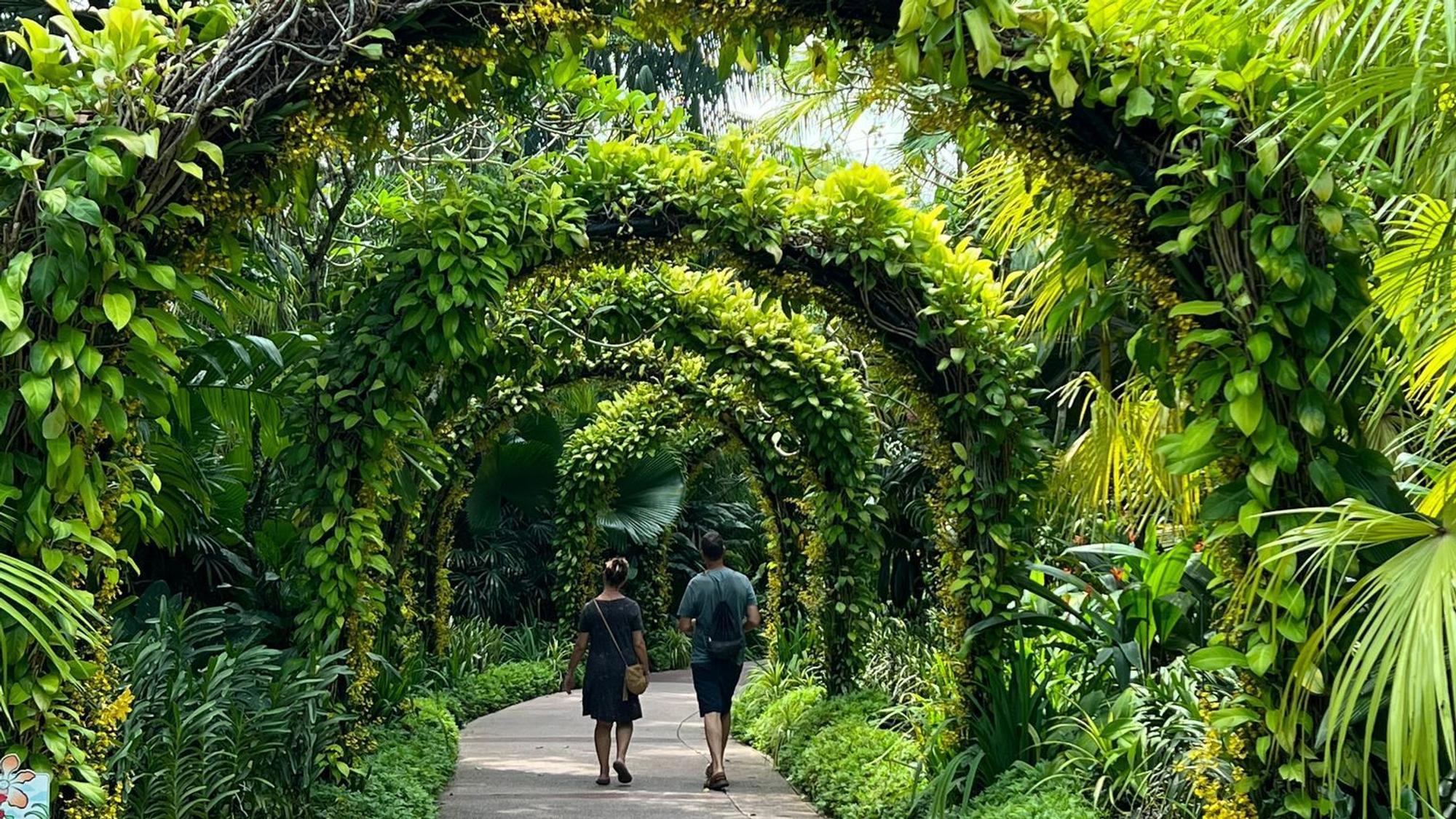 Singapur gilt als eine der grünsten Metropolen der Welt. (Archivbild)