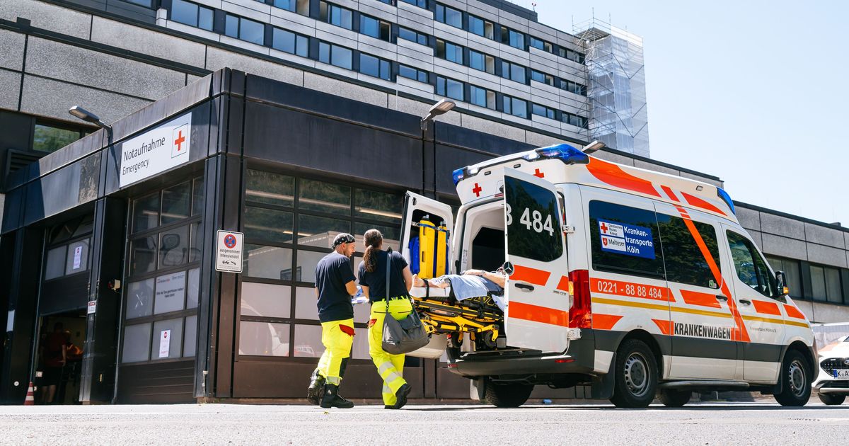 Hitzewelle: Klima braucht eine stärkere Lobby – und jeder in Köln ist gefragt