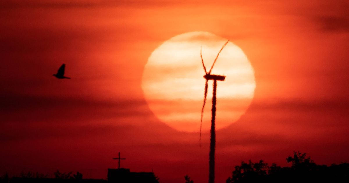 Nur kurze Verschnaufpause: Neue Hitzewelle bedroht Europa – es könnte sogar noch heißer werden
