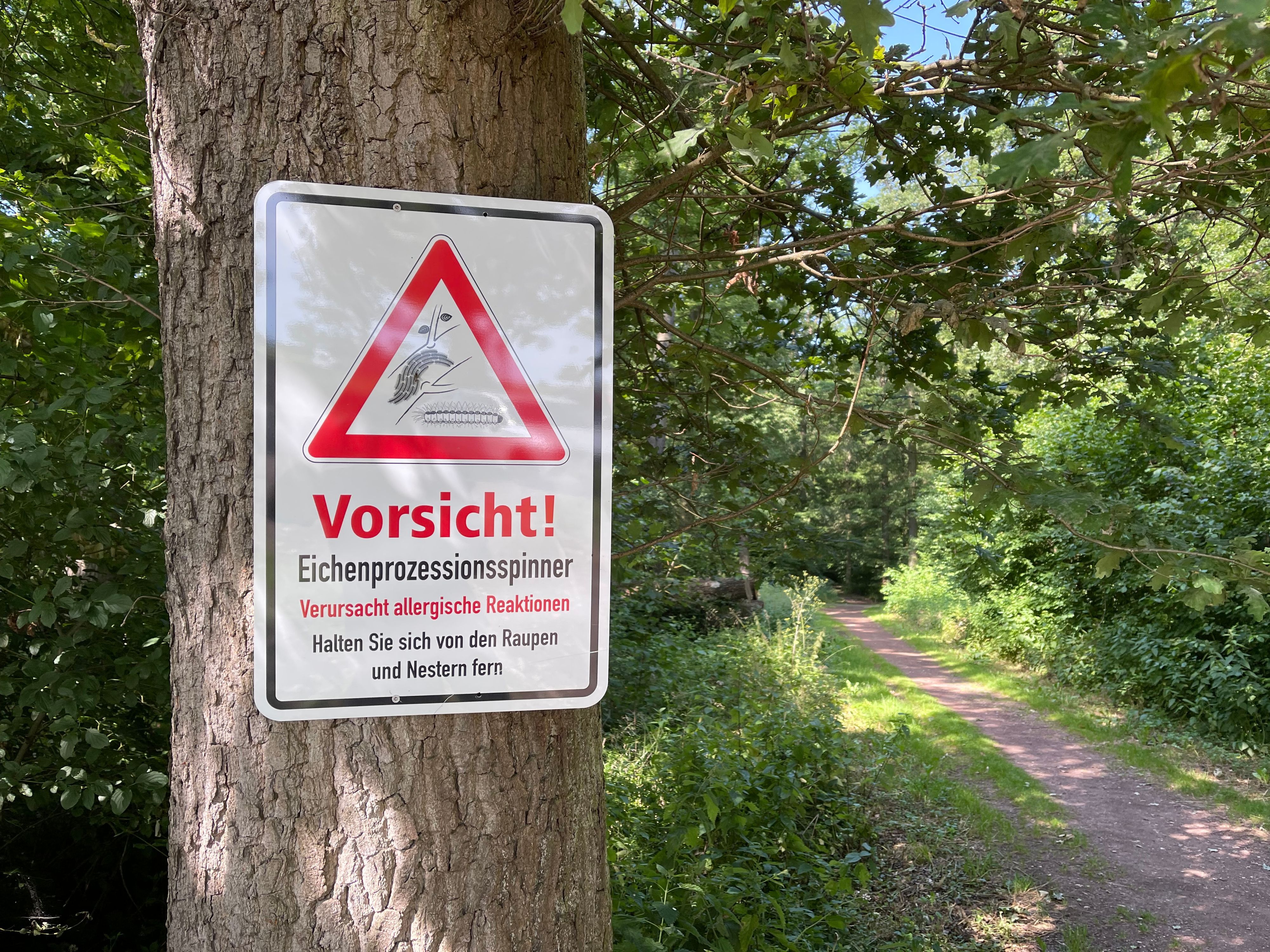 Das Bild zeigt ein Warnschild an einem Baumstamm.