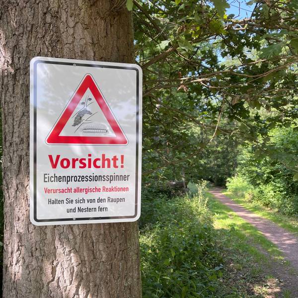 Das Bild zeigt ein Warnschild an einem Baumstamm.