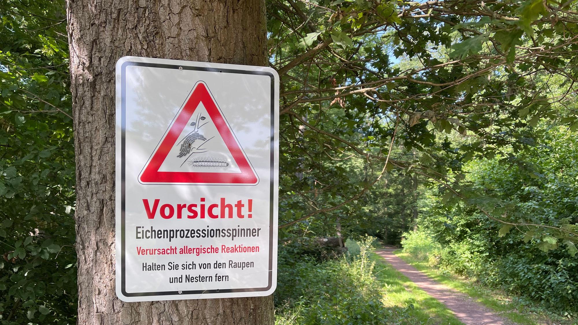 Das Bild zeigt ein Warnschild an einem Baumstamm.