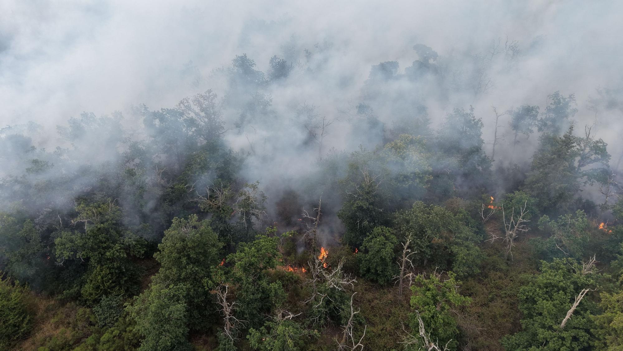 Flammen fressen sich während der Hitzewelle im Juni 2026 durch ein Naturschutzgebiet im Kreis Bad Kreuznach.