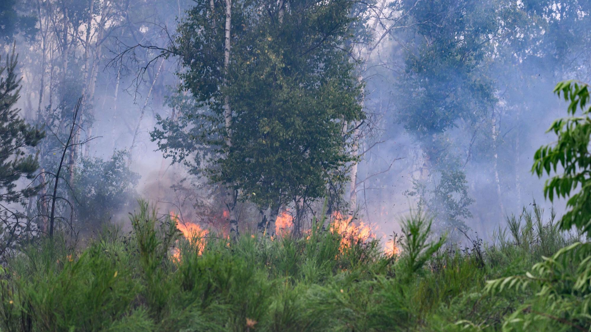 Flammen sind bei einem Waldbrand in der Gohrischheide zu sehen. Im vergangenen Jahr verbrannte in Deutschland besonders viel Wald.