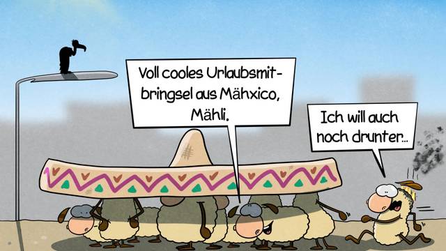 Mehrere Schafe versammeln sich in praller Hitze schwitzend im Schatten unter einem großen Sombrero, das ein Schaf in der Mitte trägt.