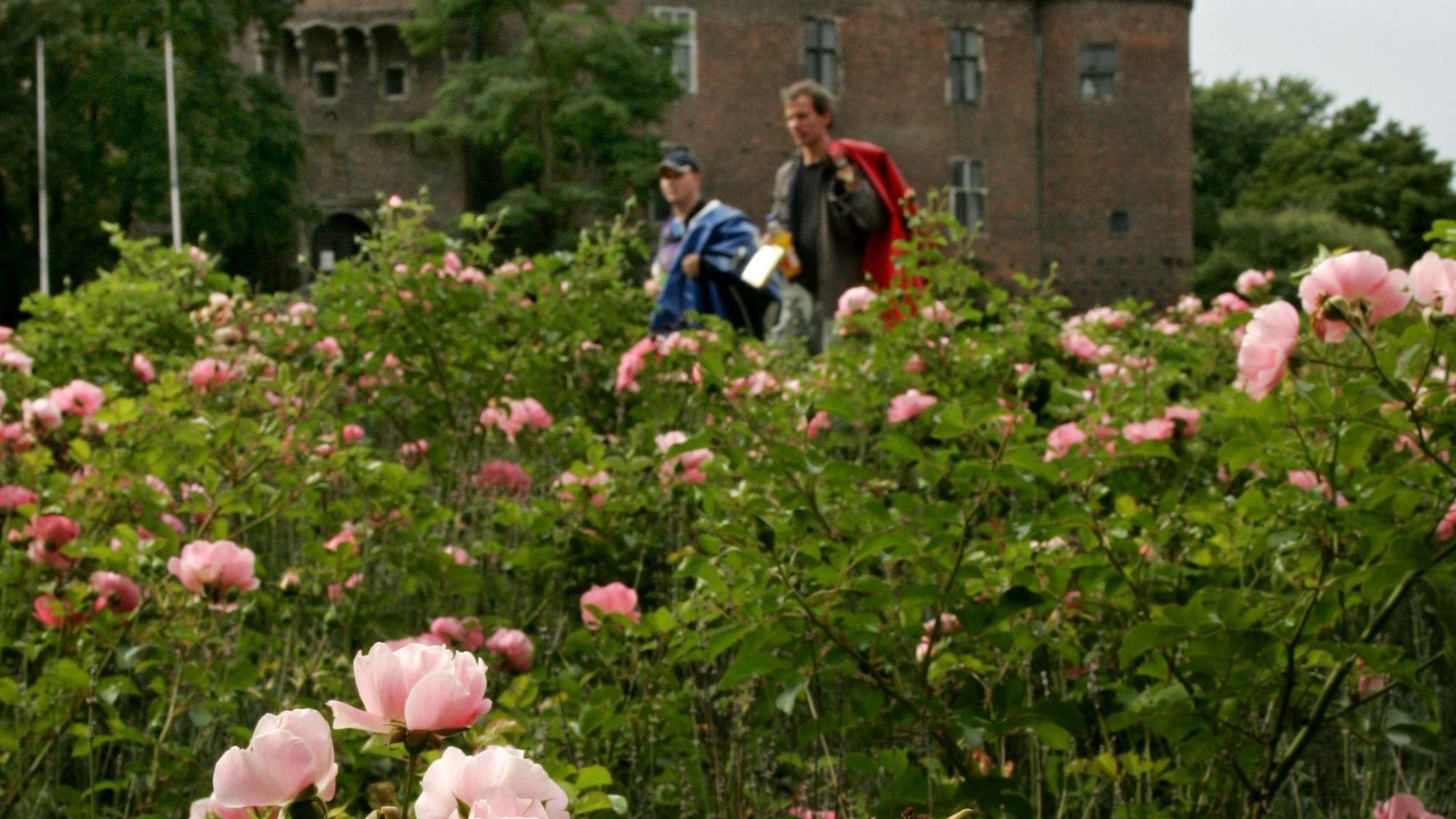 Spazierende gehen an der Burg Linn vorbei. (Archivbild/Symbolbild)