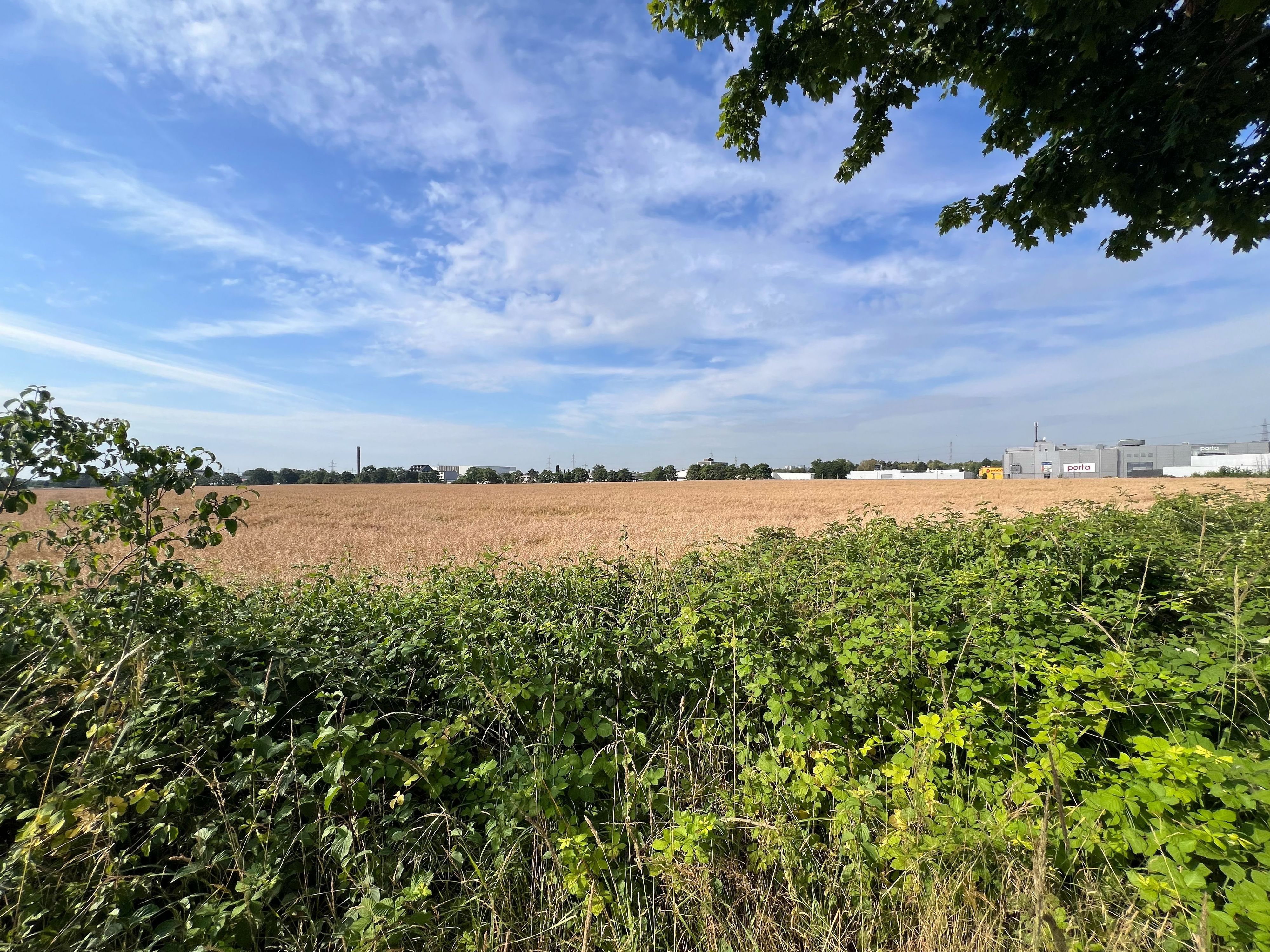 Auf der bis dato landwirtschaftlich genutzten Fläche an der Hansestraße/Maarhäuser Weg im Porzer Stadtteil Eil plant Lidl ein neues Logistikzentrum.