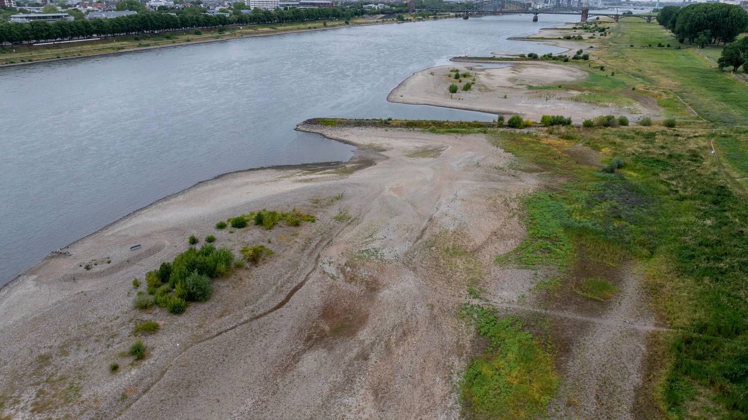 29.06.2026, Köln: Der Rhein führt Niedrigwasser. Wegen des heißen Sommerwetters ist der Pegelstand auf 1,24m gefallen.Foto: Uwe Weiser