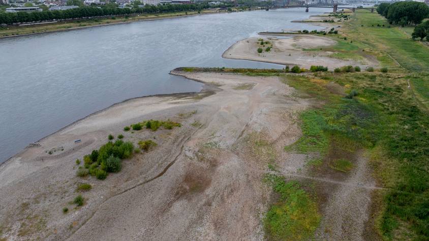 Rhein Ripp Rhein: Alle Infos über den Fluss | Kölner Stadt-Anzeiger