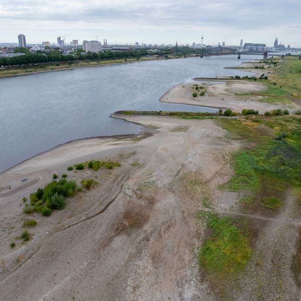 29.06.2026, Köln: Der Rhein führt Niedrigwasser. Wegen des heißen Sommerwetters ist der Pegelstand auf 1,24m gefallen.Foto: Uwe Weiser