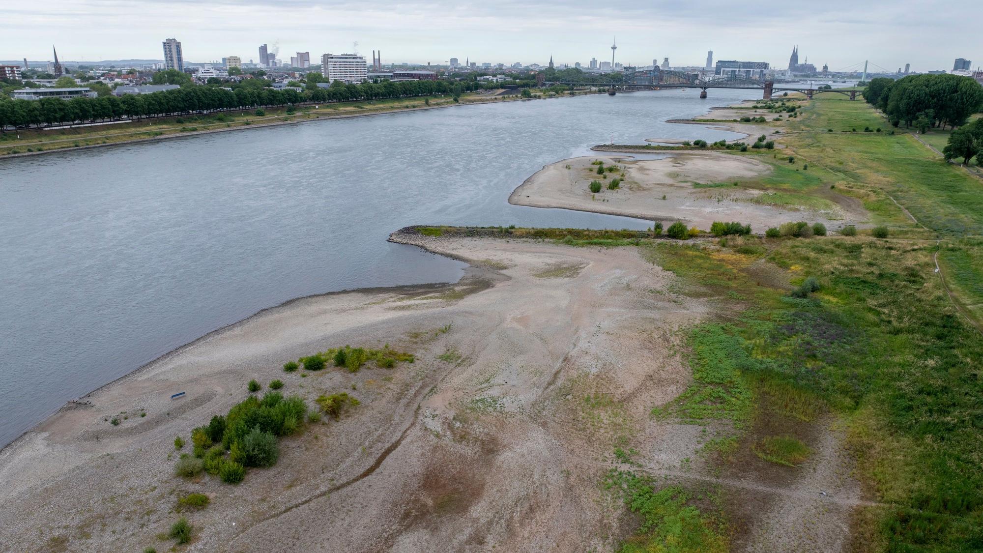 29.06.2026, Köln: Der Rhein führt Niedrigwasser. Wegen des heißen Sommerwetters ist der Pegelstand auf 1,24m gefallen.Foto: Uwe Weiser