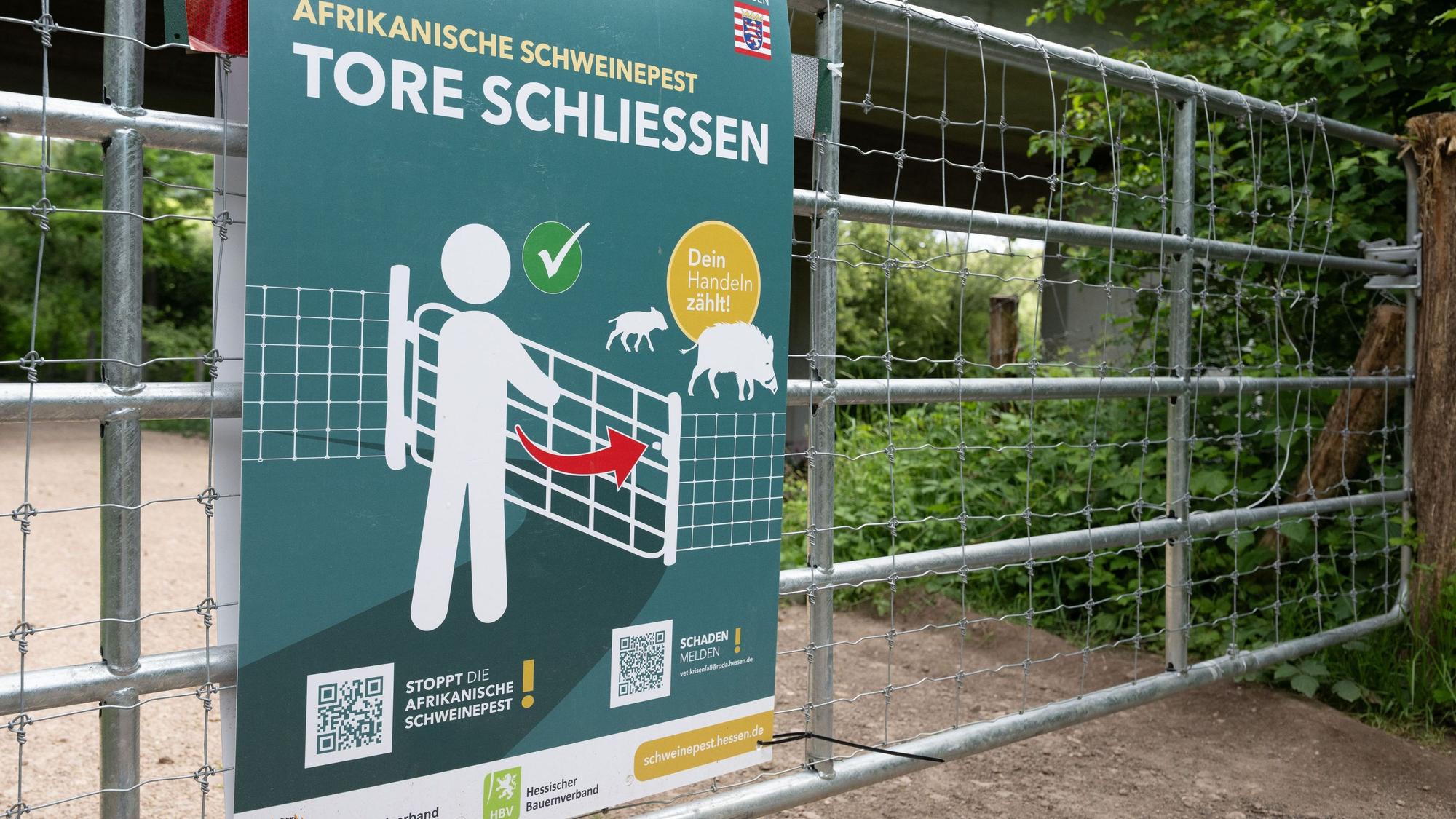 Schutzzäune mit Toren, wie hier in Hessen, sollen eine Ausbreitung der Afrikanischen Schweinepest verhindern. Diese endet für Tiere tödlich. Nicht alle sehen den Oberbergischen Kreises derweil gut aufgestellt