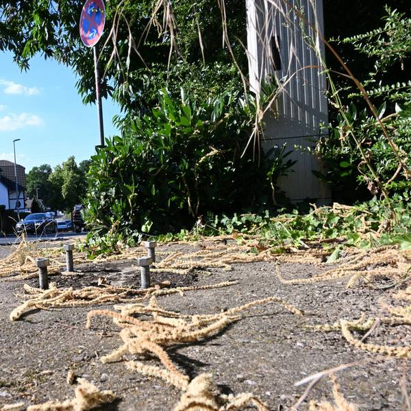Vier dicke Schrauben im Boden neben einer Straße.