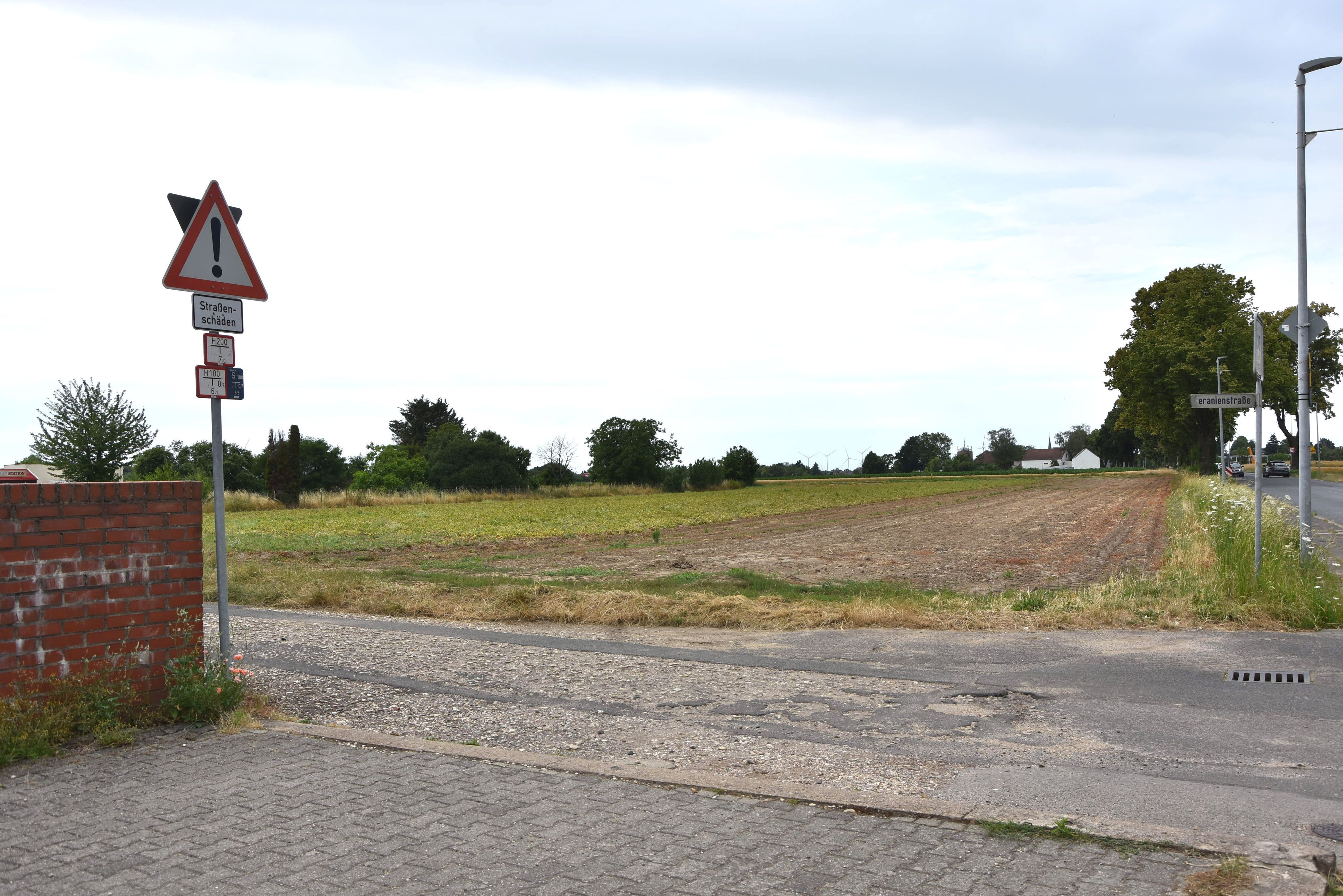 Zu sehen ist eine marode Straße, im Hintergrund ein Acker.