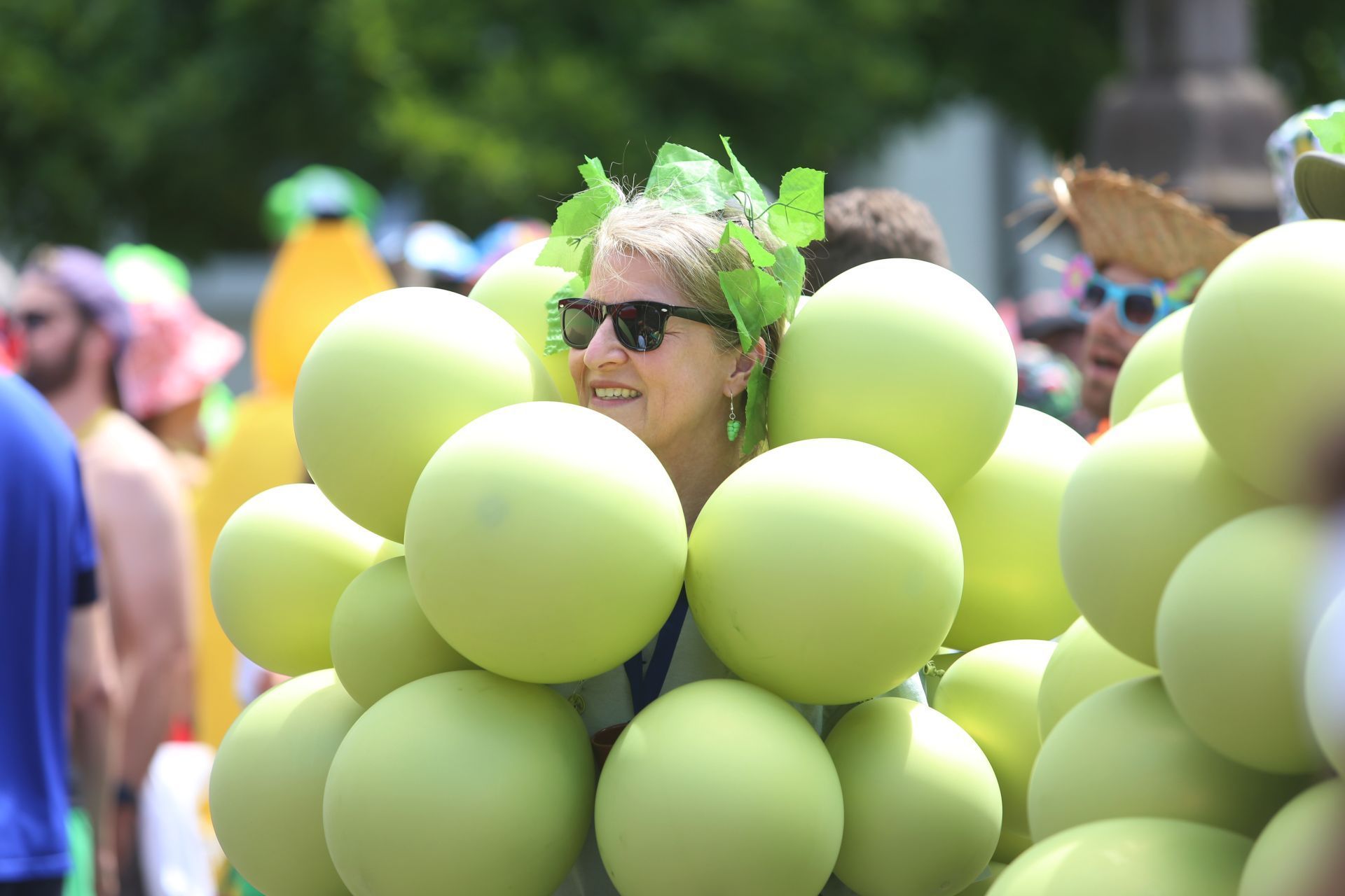Die lebenden Weinreben aus Kündinghoven kamen auf den dritten Platz beim Petit Médoc 2026 in Königswinter-Oberdollendorf.