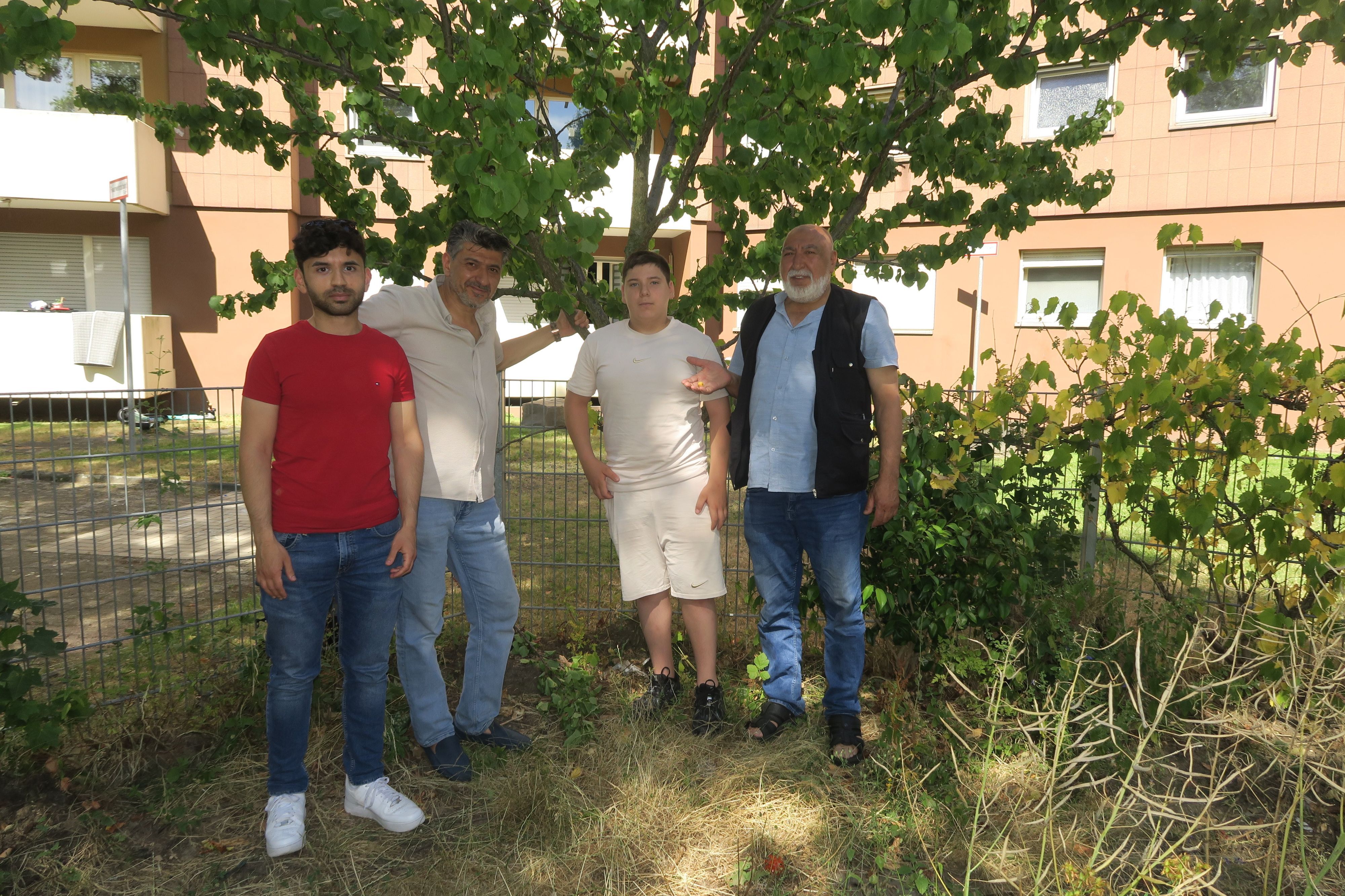 Hakan Memis, Mustafa Caglar, Neffe Eyup und Oktay Caglar (v.l.) stehen unter einem der Aprikosenbäume. Im Hintergrund ist eines der Y-Häuser zu sehen.