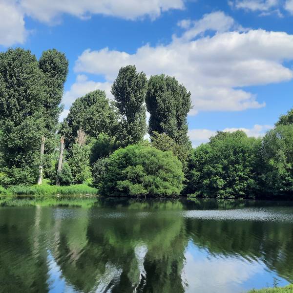 Spazieren am Wasser an der Groov in Köln-Zündorf
