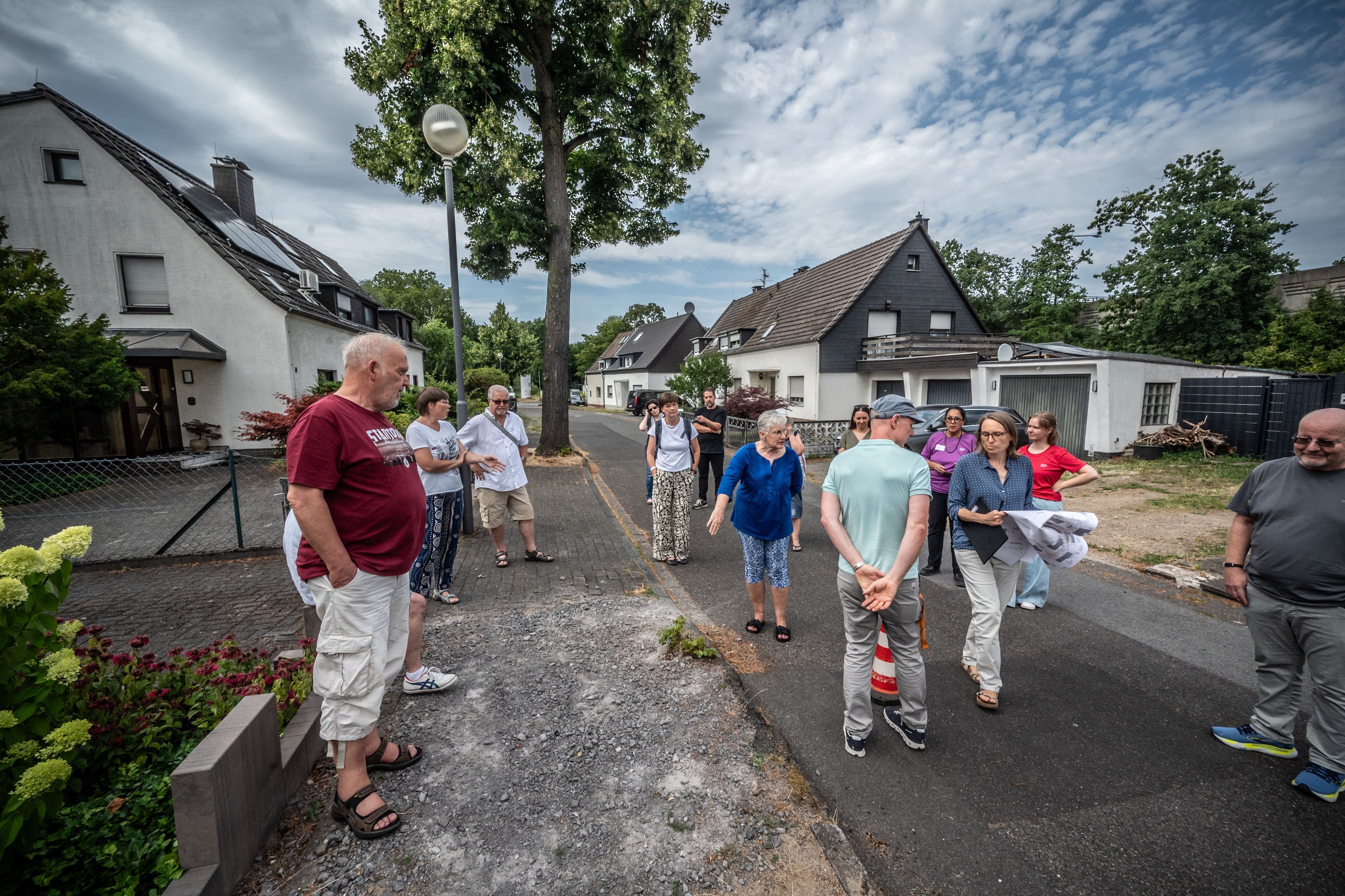 Anwohner im ratherkämp und Lingenfeld sollen neue Straßenbäume bekommen. Bild: Ralf Krieger