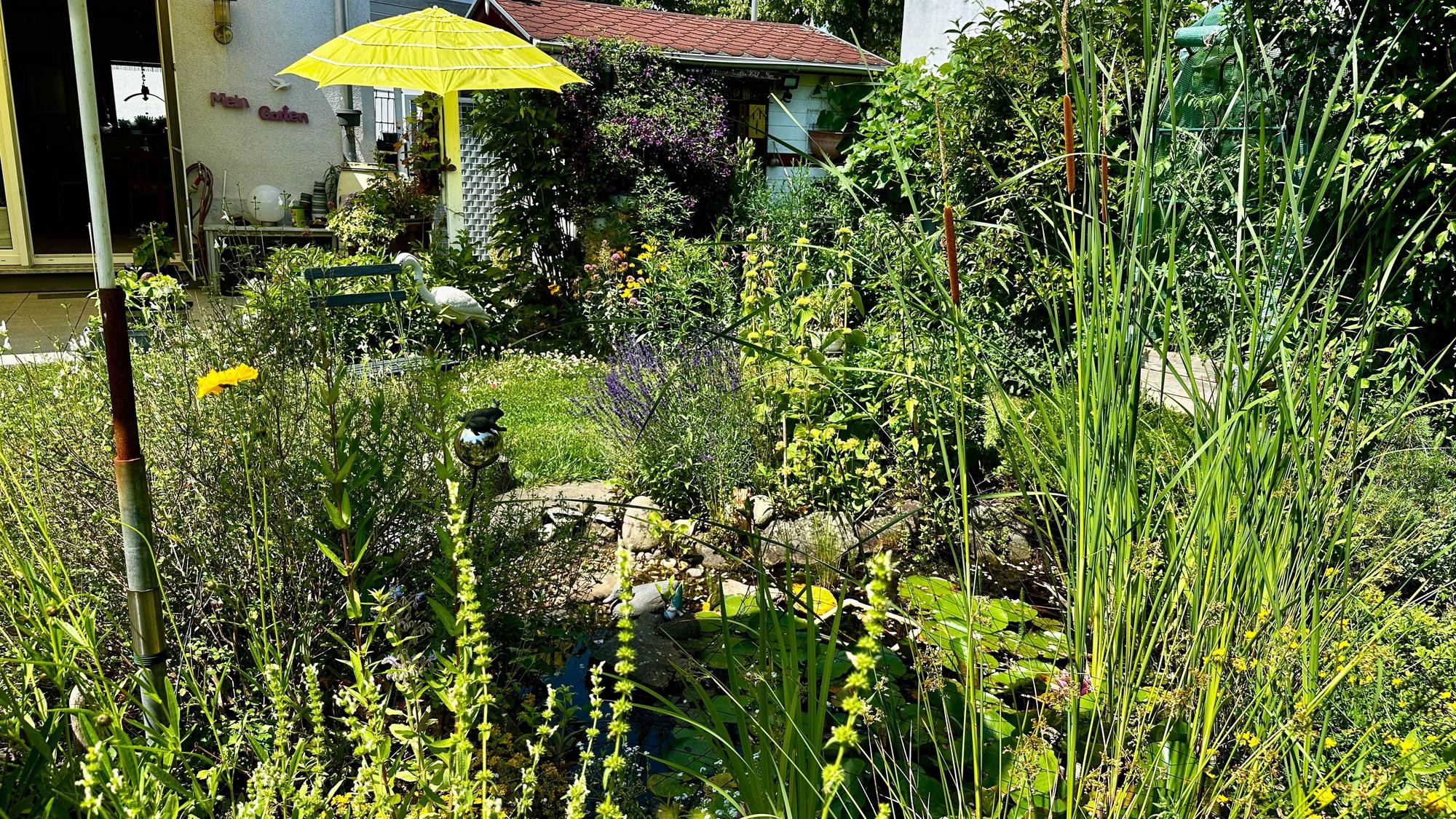 Blick in einen blühenden Garten mit gelbem Sonnenschirm