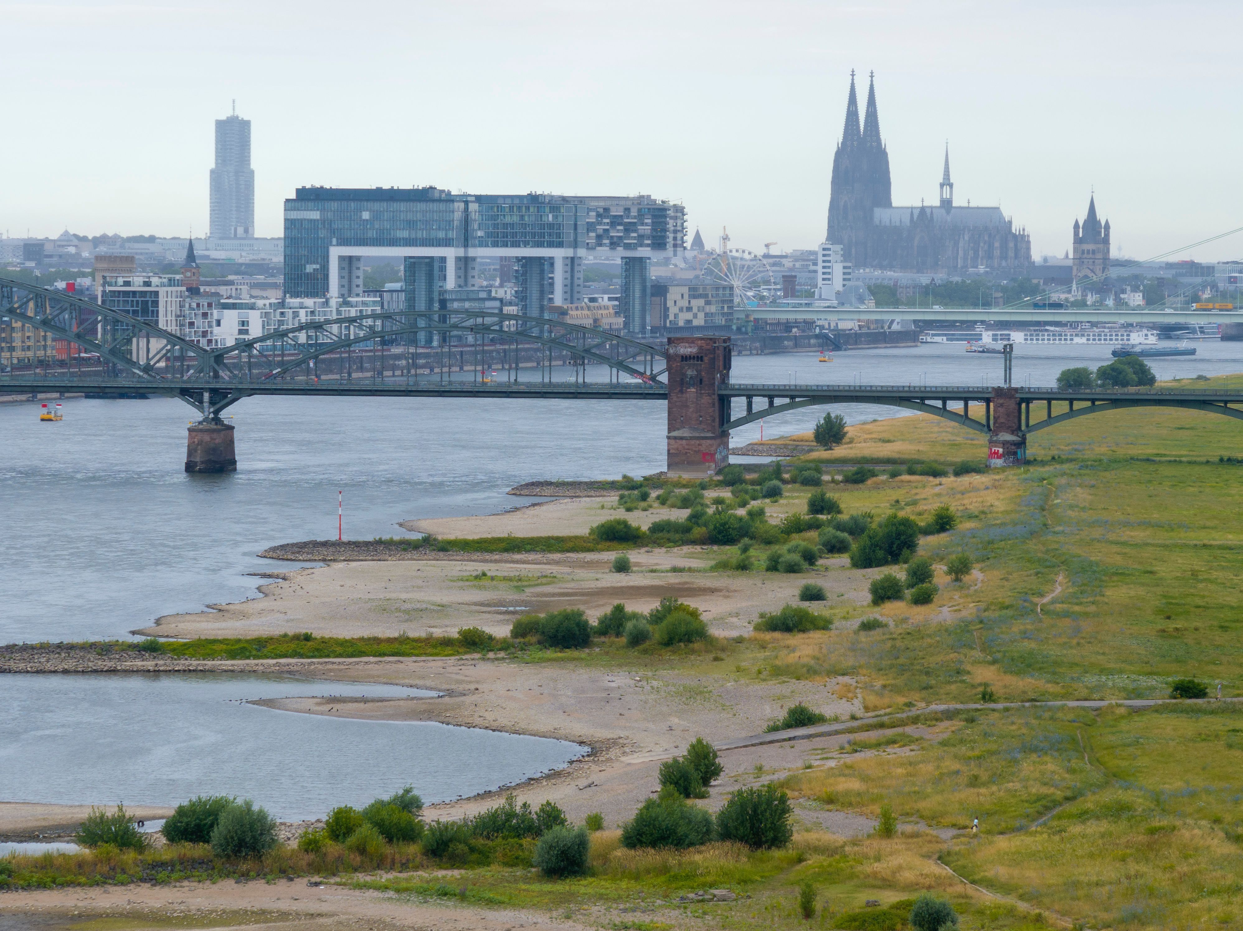 Sommer 2026 in Köln. Der Rhein führt Niedrigwasser.