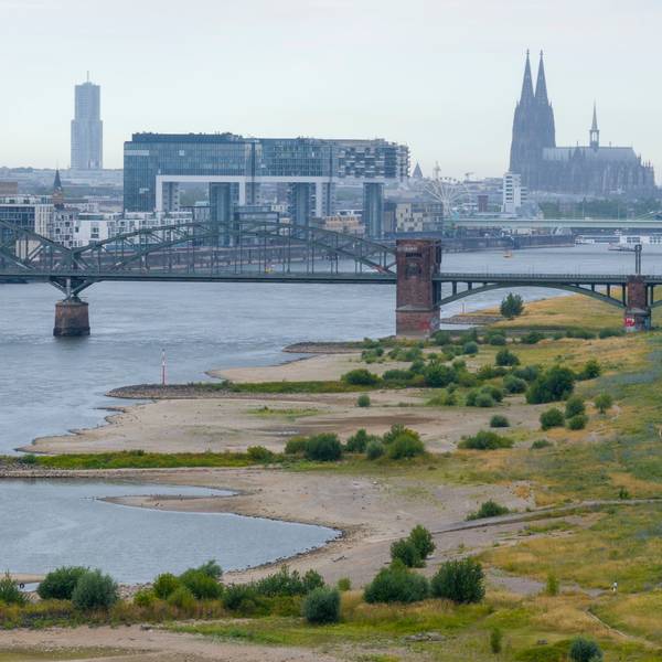 Sommer 2026 in Köln. Der Rhein führt Niedrigwasser.