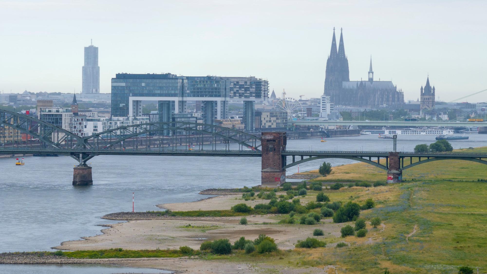 Sommer 2026 in Köln. Der Rhein führt Niedrigwasser.