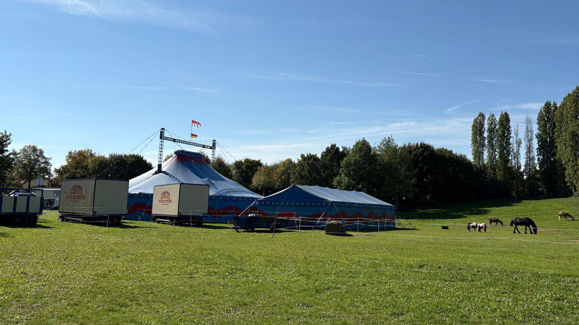 Der Zirkus Charles Monroe gastiert in verschiedenen Veedeln in Köln, hier auf einer Wiese in Sürth. (Archivbild)