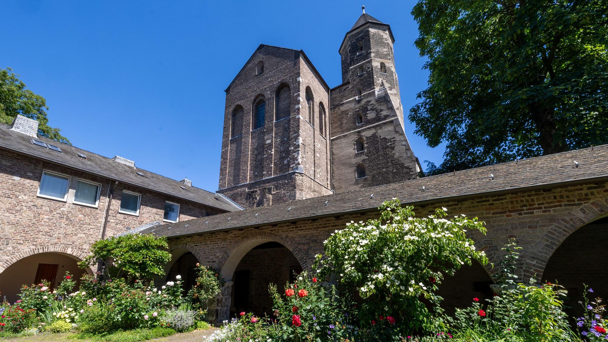 Der Innenhof von St. Maria im Kapitol mit vielen Rosen.