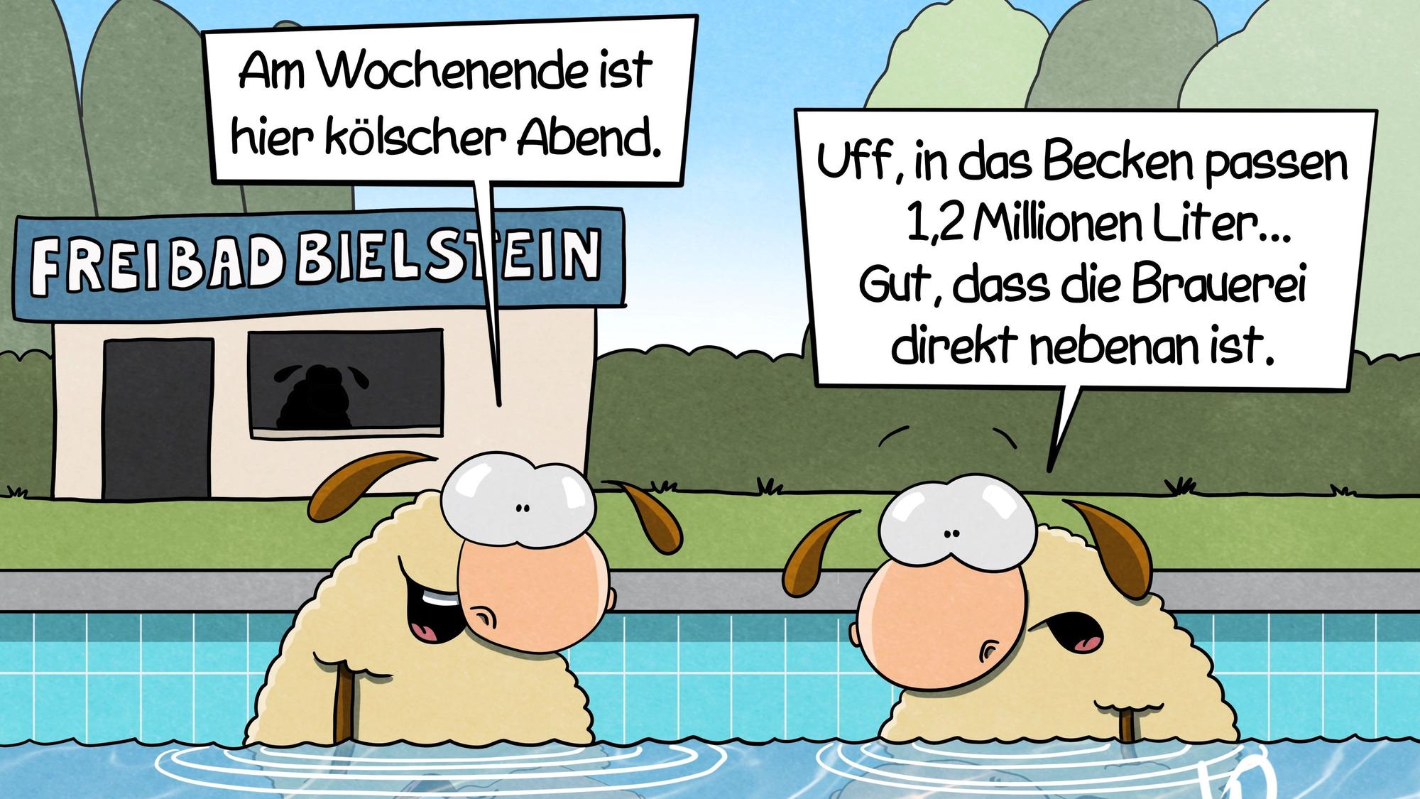Zwei Schafe im Becken des Bielsteiner Freibads. Das eine sagt: „Am Wochenende ist hier kölscher Abend.“ Das andere antwortet: „Uff, in das Becken passen 1,2 Millionen Liter... Gut, dass die Brauerei direkt nebenan ist.“