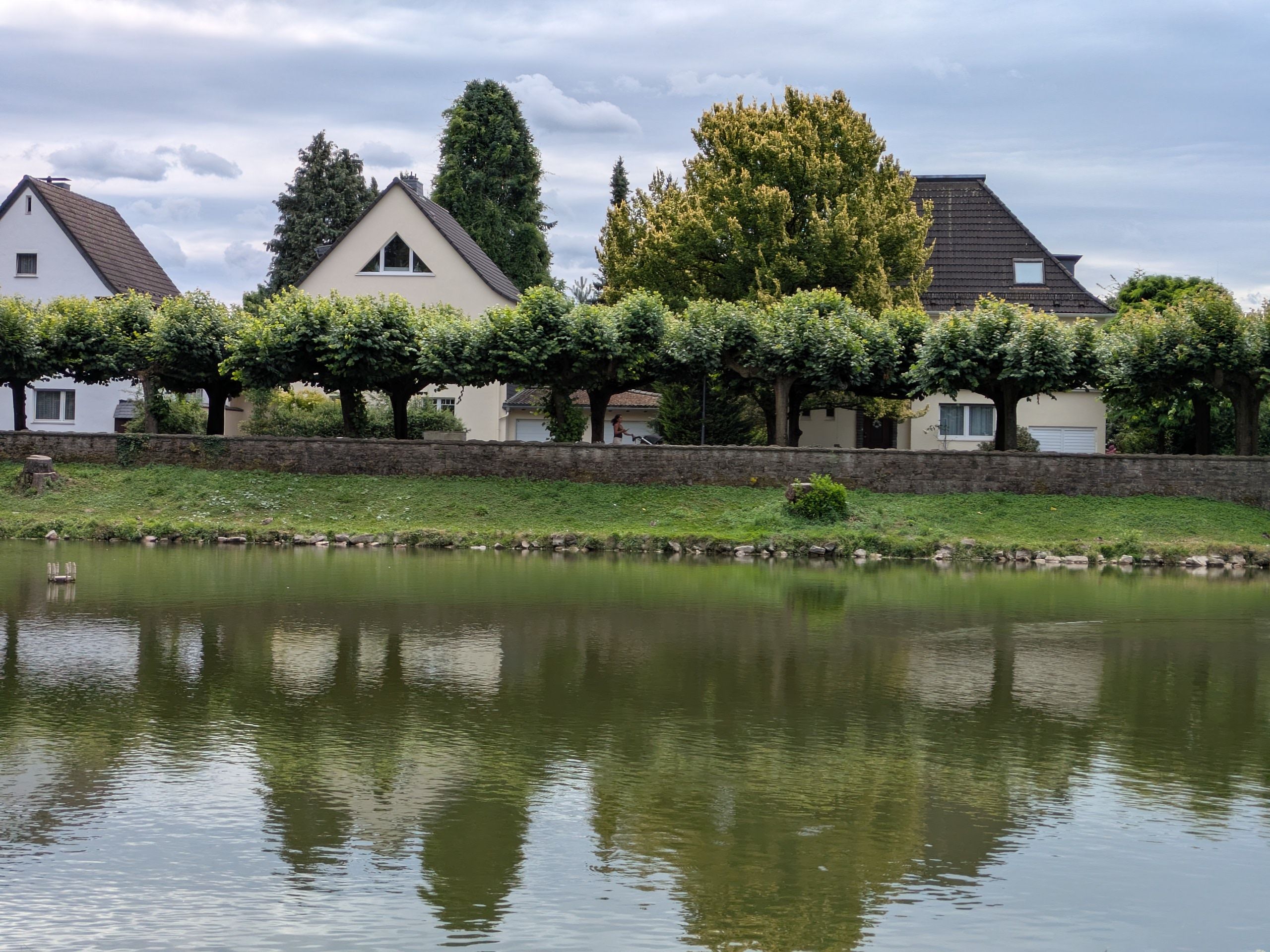 Blick über den Wiembachweiher im Ludwig-Rehbock-Park