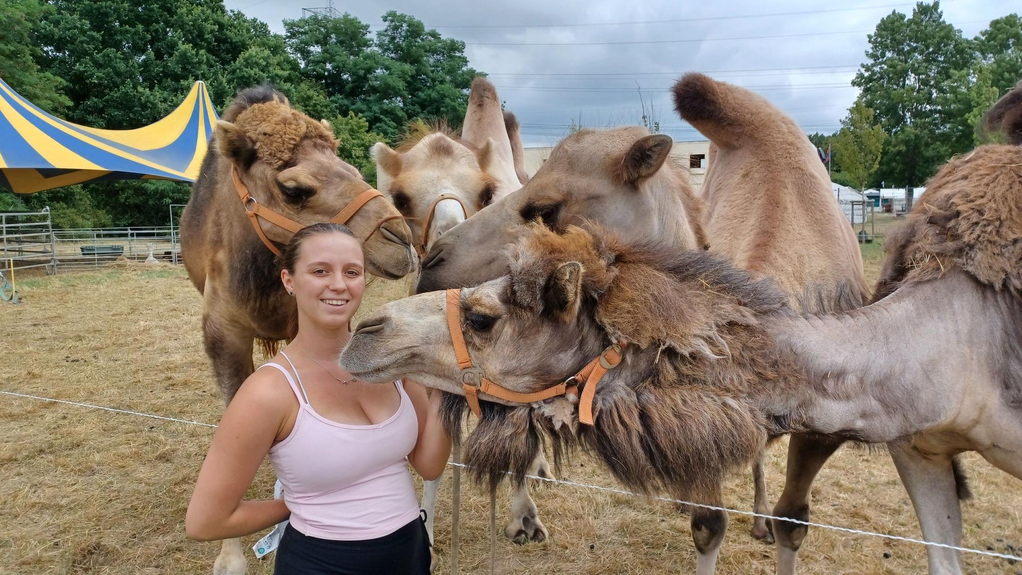 Julie Belles aus der Schausteller-Familie mit ihren Kamelen und Dromedaren.