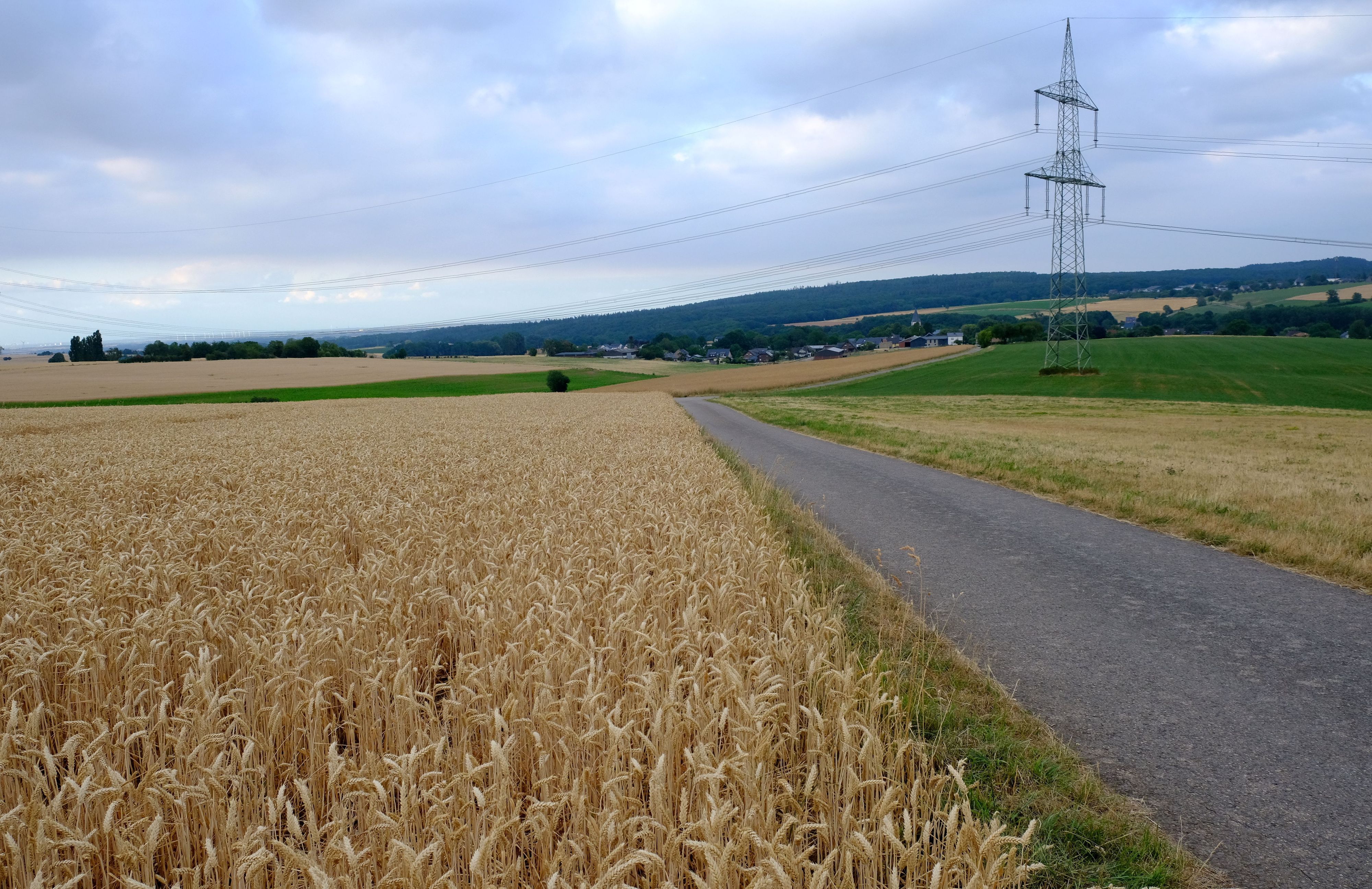 Das Flurstück Judenkirchhof wird heute landwirtschaftlich genutzt (aktuell: Weizenanbau).